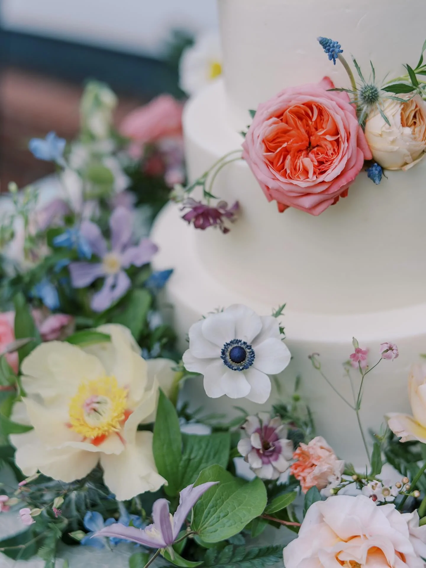 Oh anemone, how I love thee 

Photographer @marykatesteele
Planner @audreyhurst