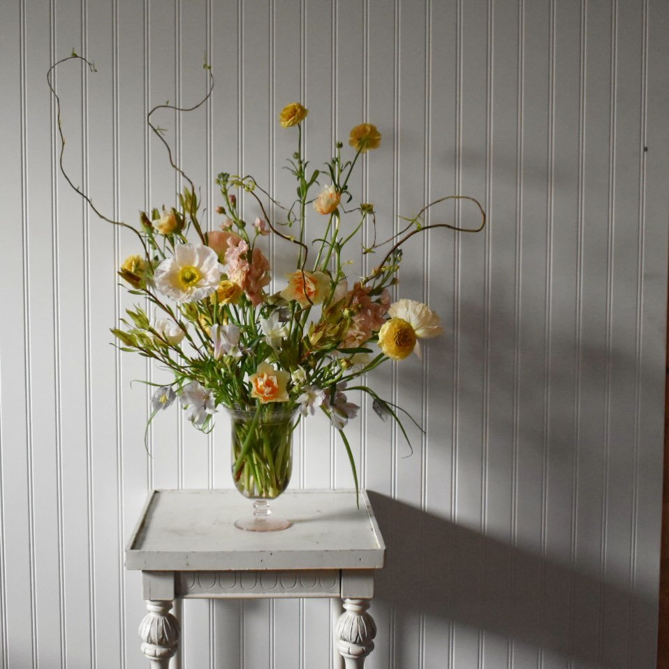 It&rsquo;s Poppy season!

#instagramhatesme