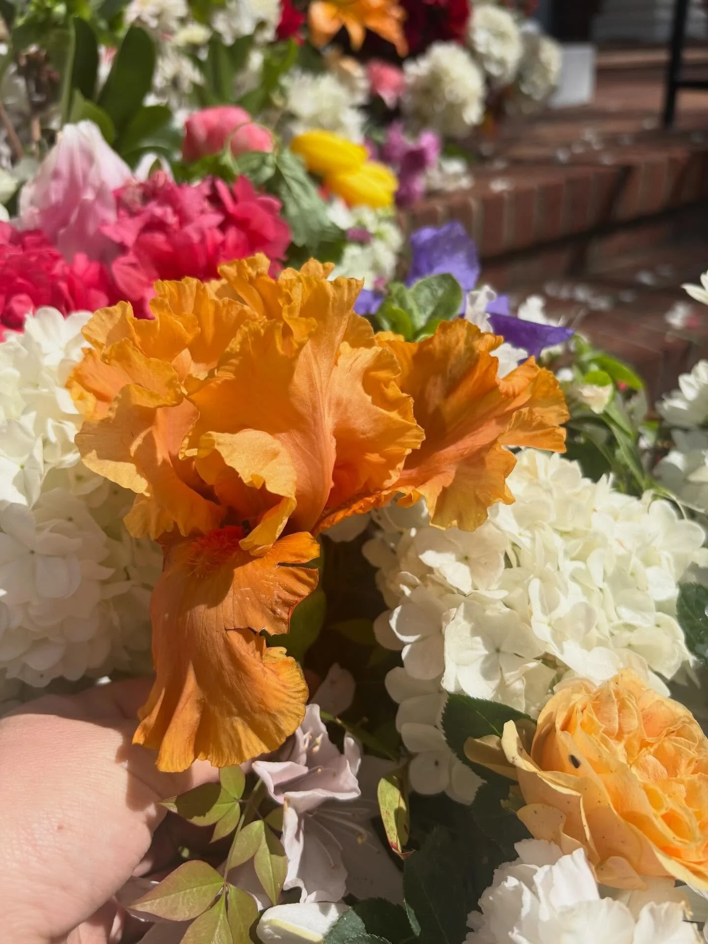 Every year our church has a wooden cross that we can place flowers into. It&rsquo;s laden with azaleas and sunflowers and mums and drooping hydrangeas. I always look forward to bringing whatever I have leftover from the cooler. But this year I wanted