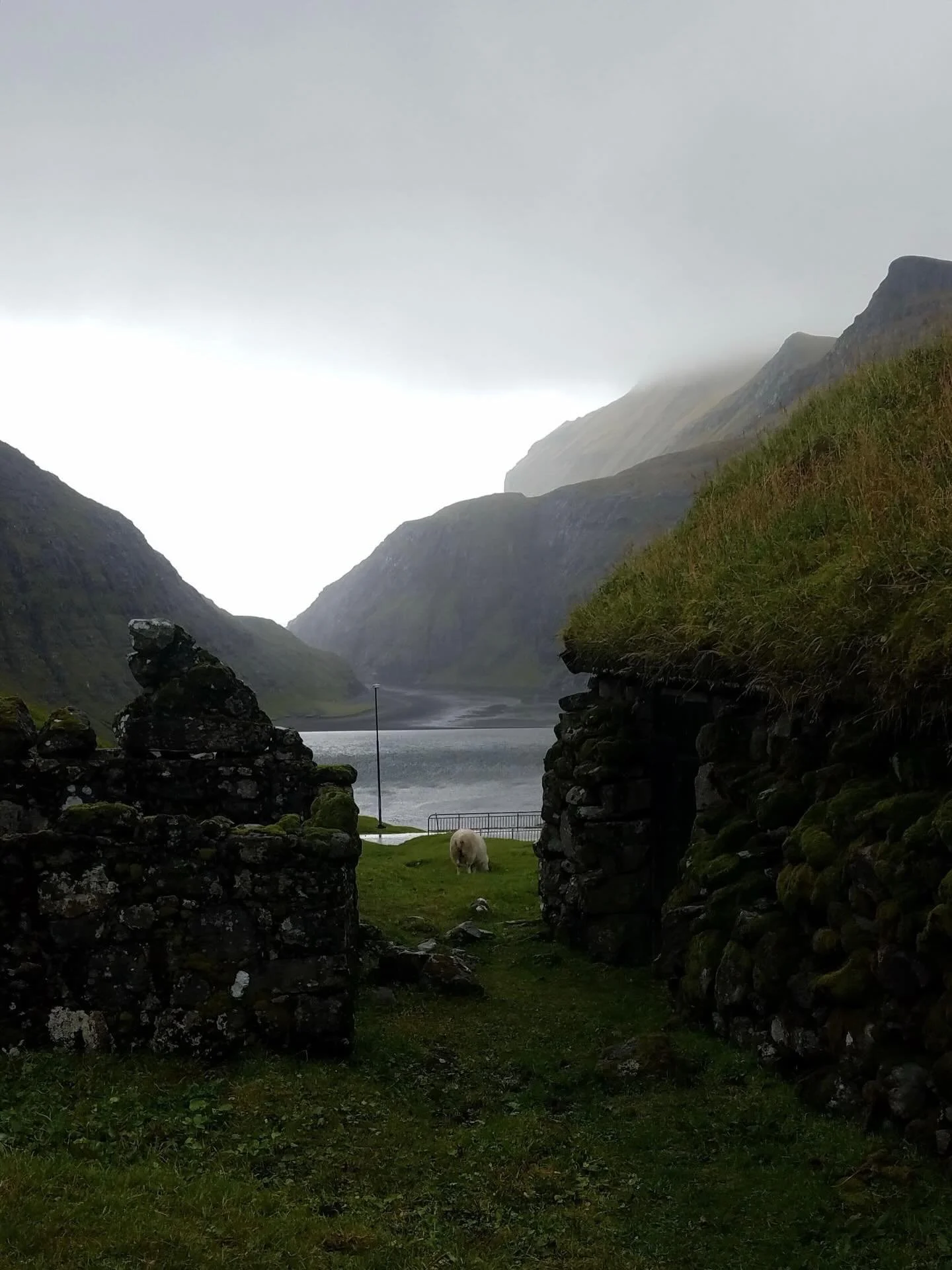 I have mostly kept this page to flowers for obvious reasons but I do love all of nature and want to share what inspires me. This photo is from a trip with my dad to the Faroe Islands back in 2018. I remember flying over the islands and in disbelief. 