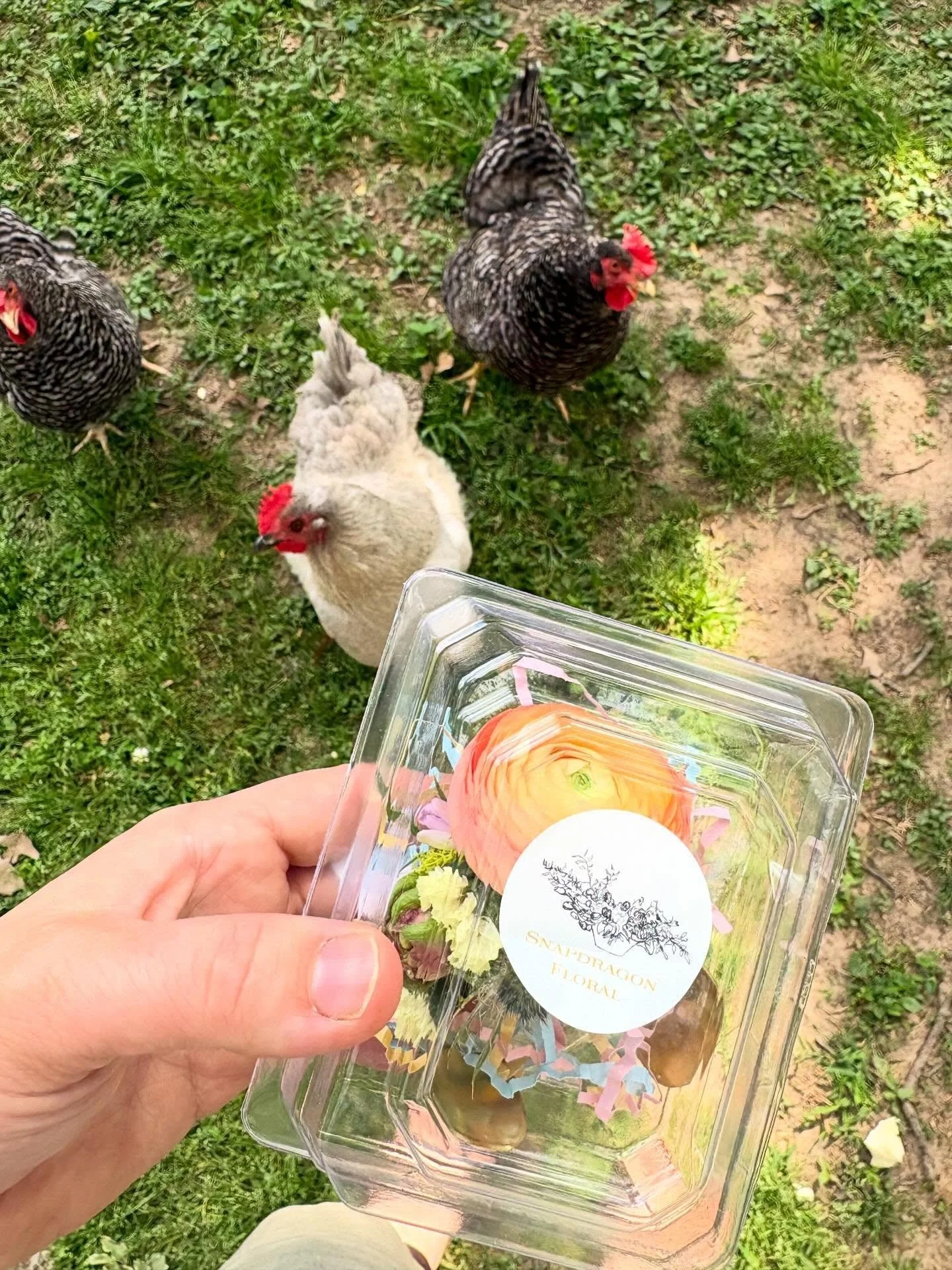 30 + prom orders went out this week. 5 retail arrangements. Class at the Botanic. Church event. Currently working on a Sunday wedding. I&rsquo;m tired. The chickens are hungry. Is it Monday yet?