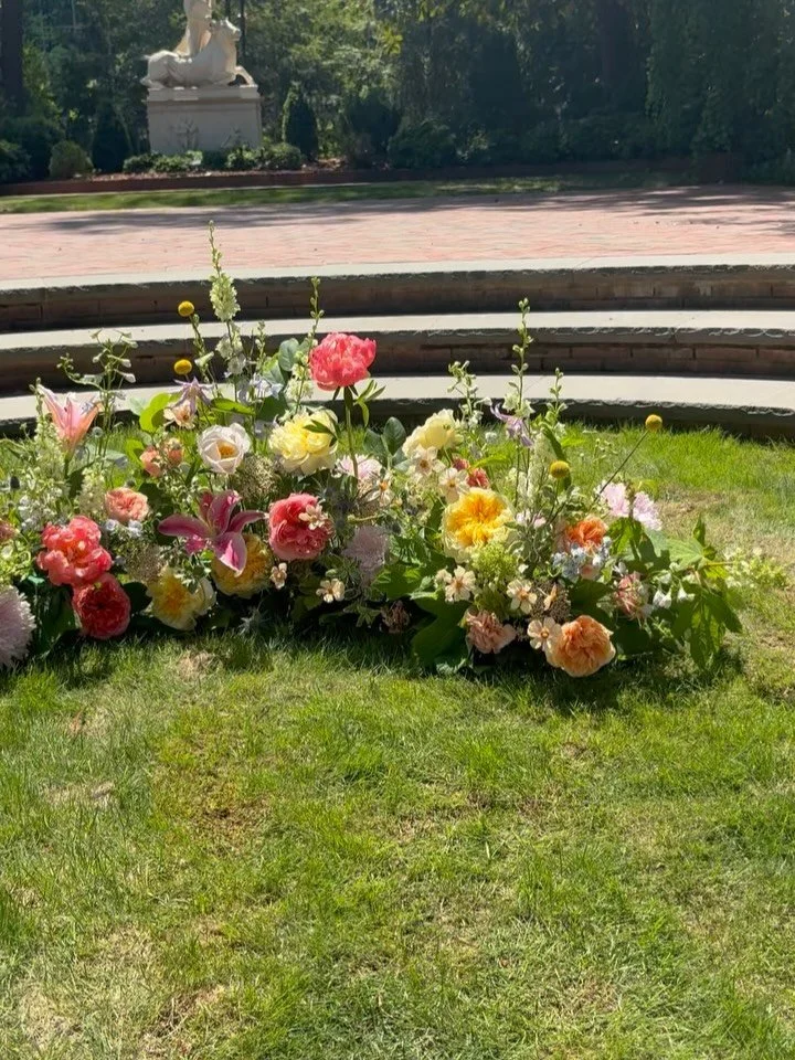 It was a beautiful spring day at the Dixon yesterday!