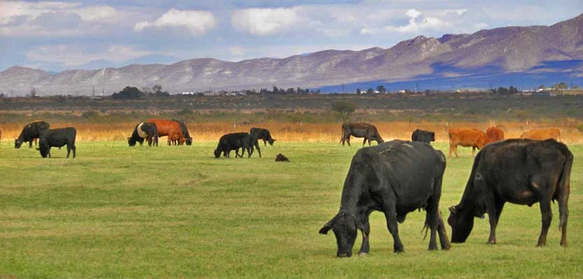 Meet the Industry Spotlight Series