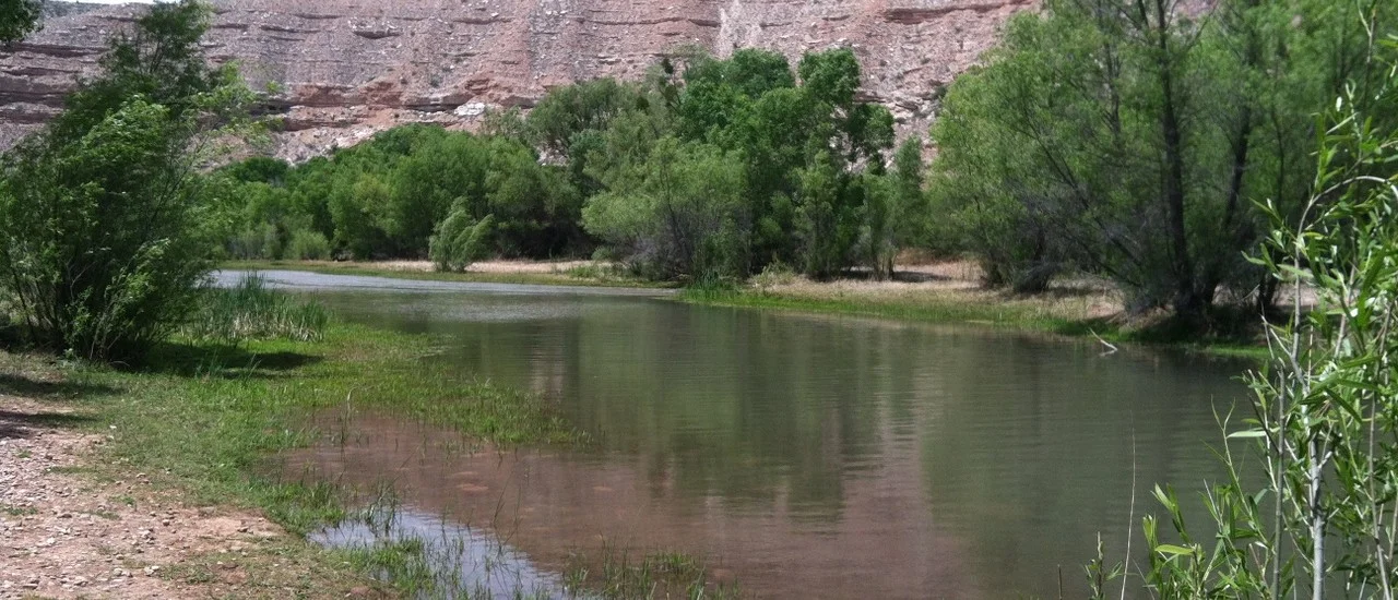 Sinagua Conagua: Where Agriculture, Business, and Conservation Meet