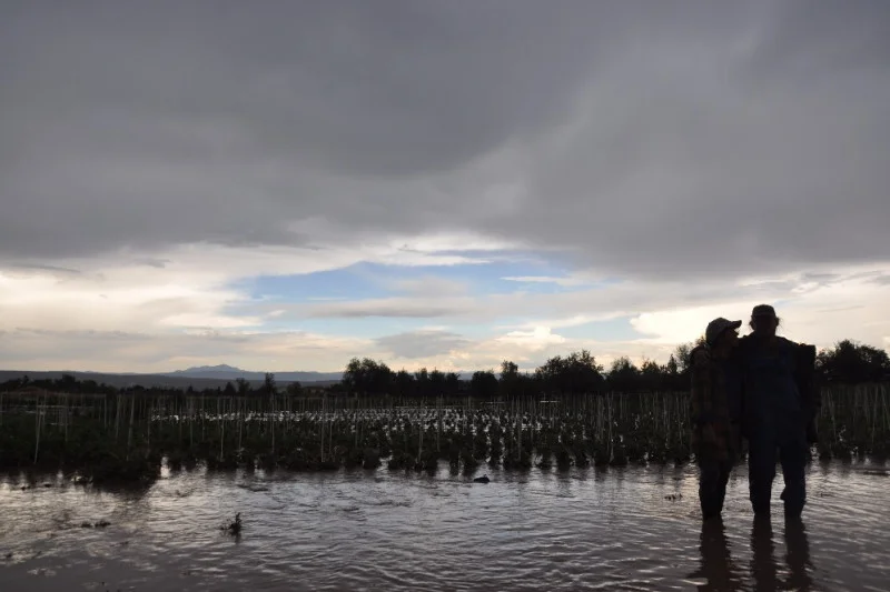 Weathering the Storm: Bring on the Community Support