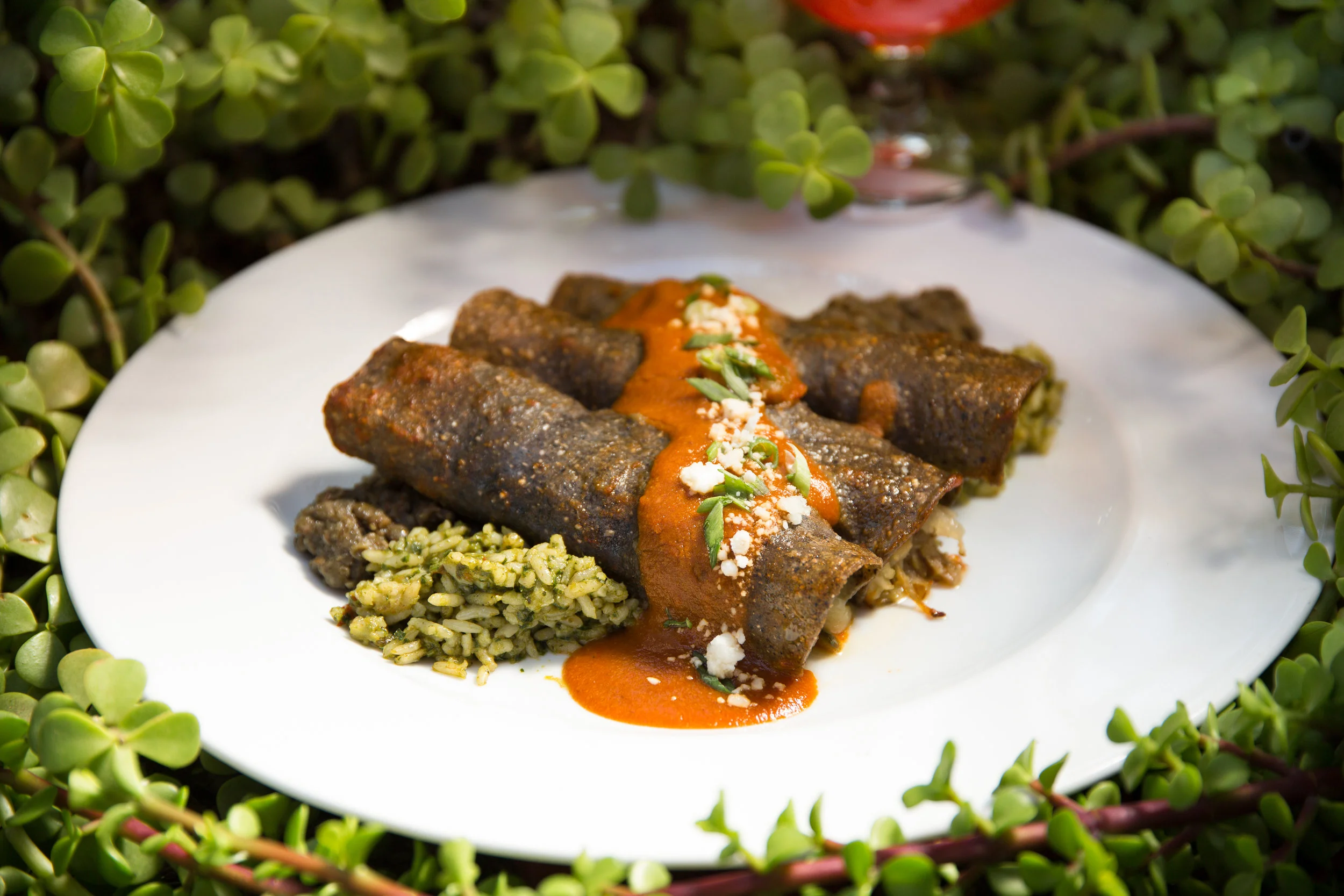 Gertrudes’s Duck Enchiladas