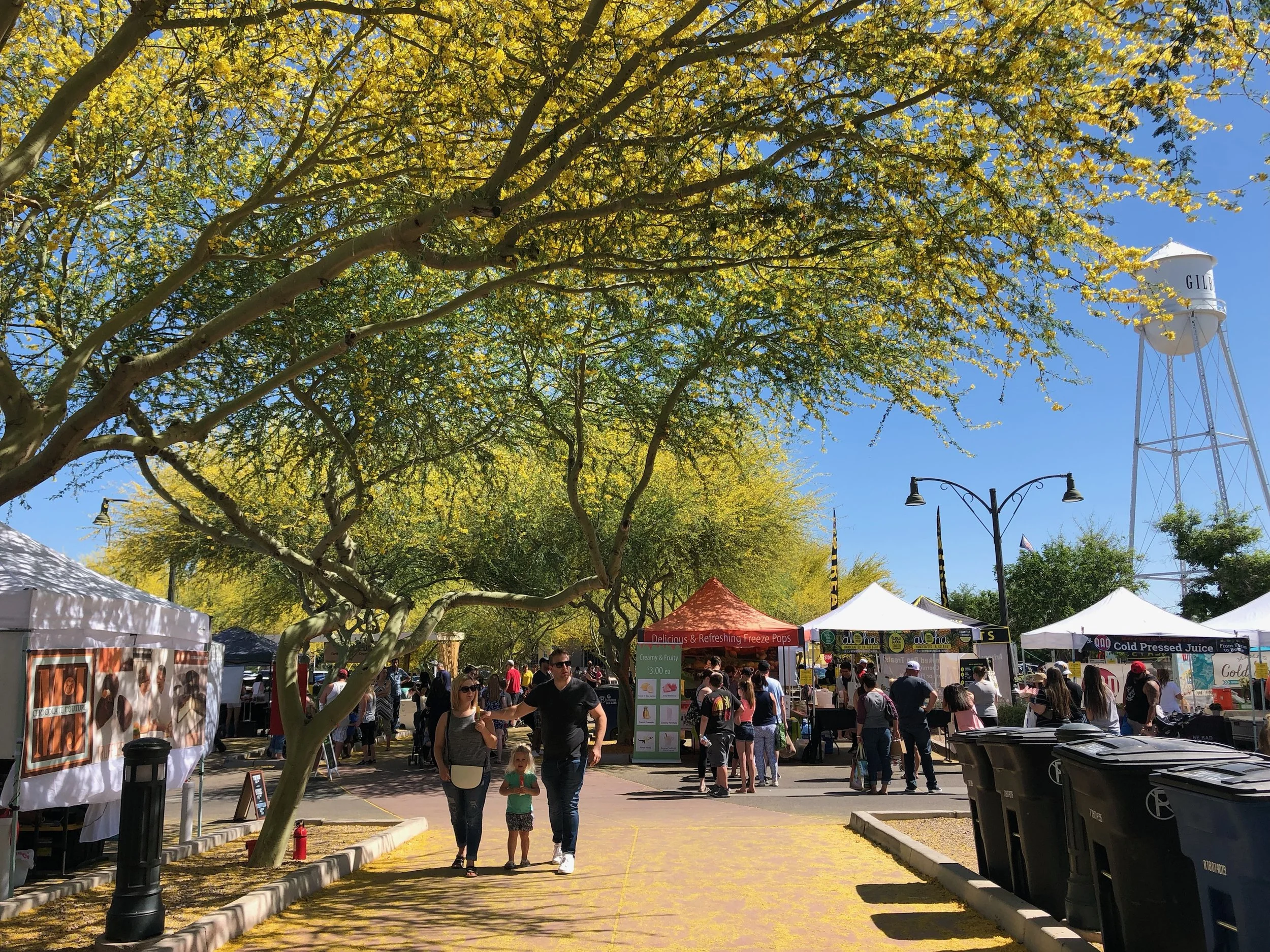 Get a Taste of Gilbert!