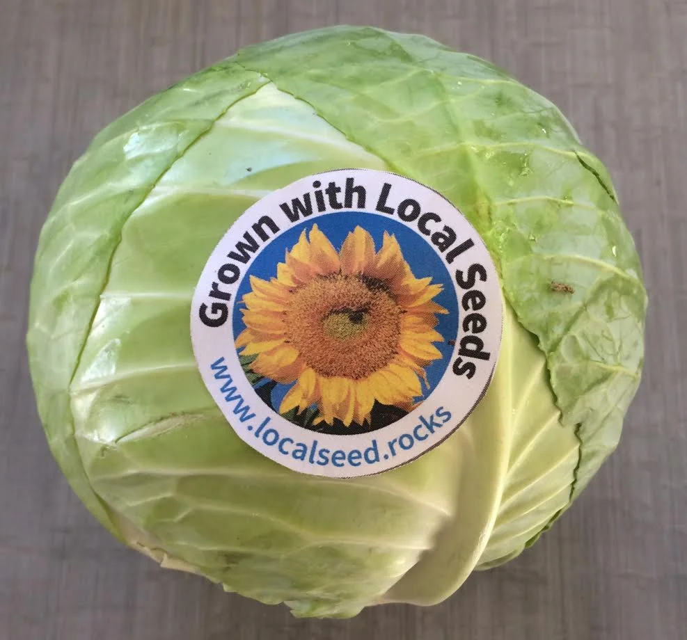 cabbage.jpg