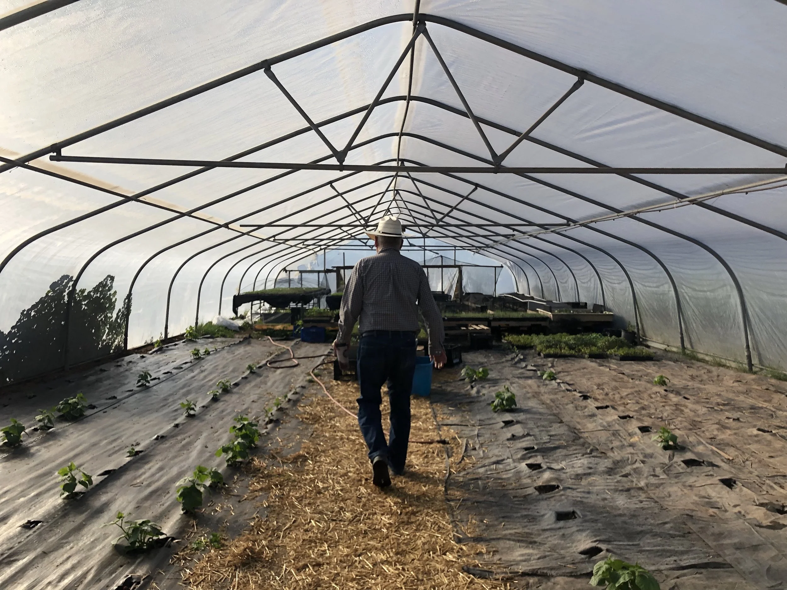 Bringing in the Next Generation of Arizona Farmers