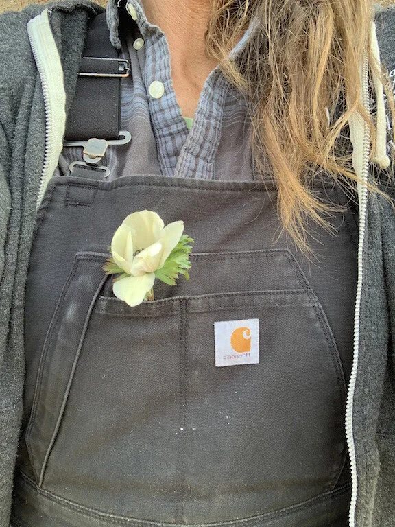 Arizona Farm &amp; Ranch Life: 3 Accounts to Follow