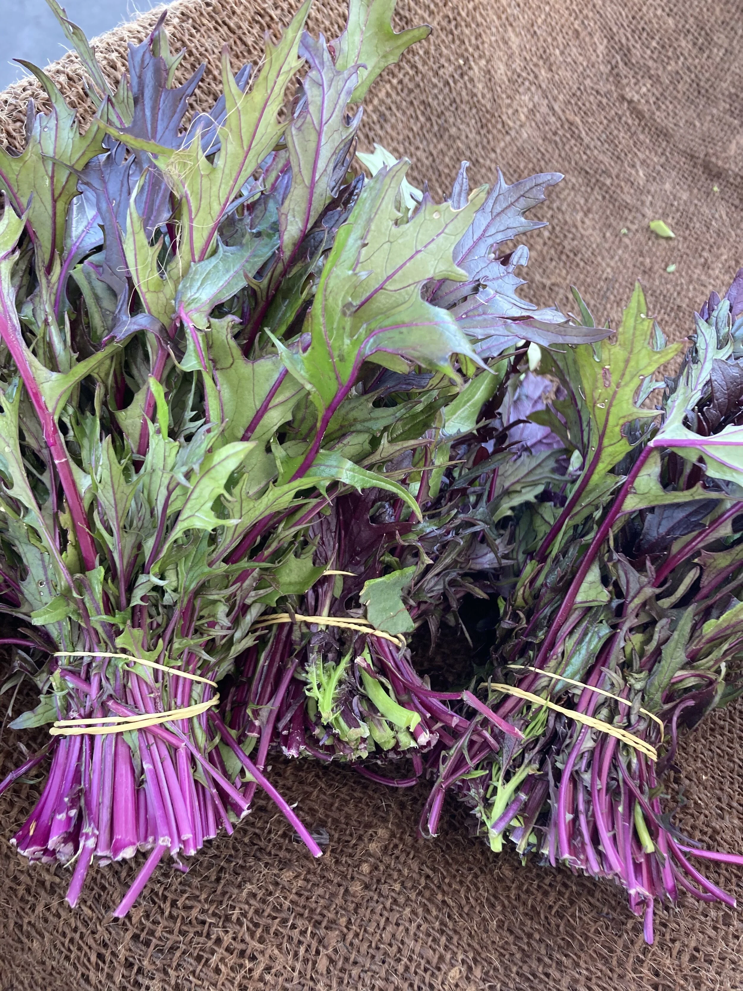 What’s In Season: Greens