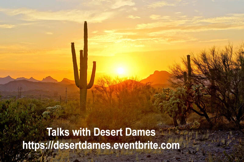 Talks with Desert Dames