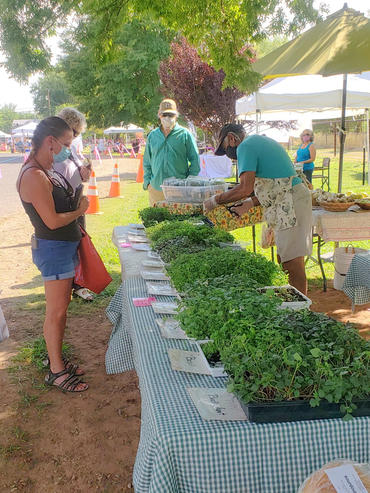 Windmill Park Farmers Market 