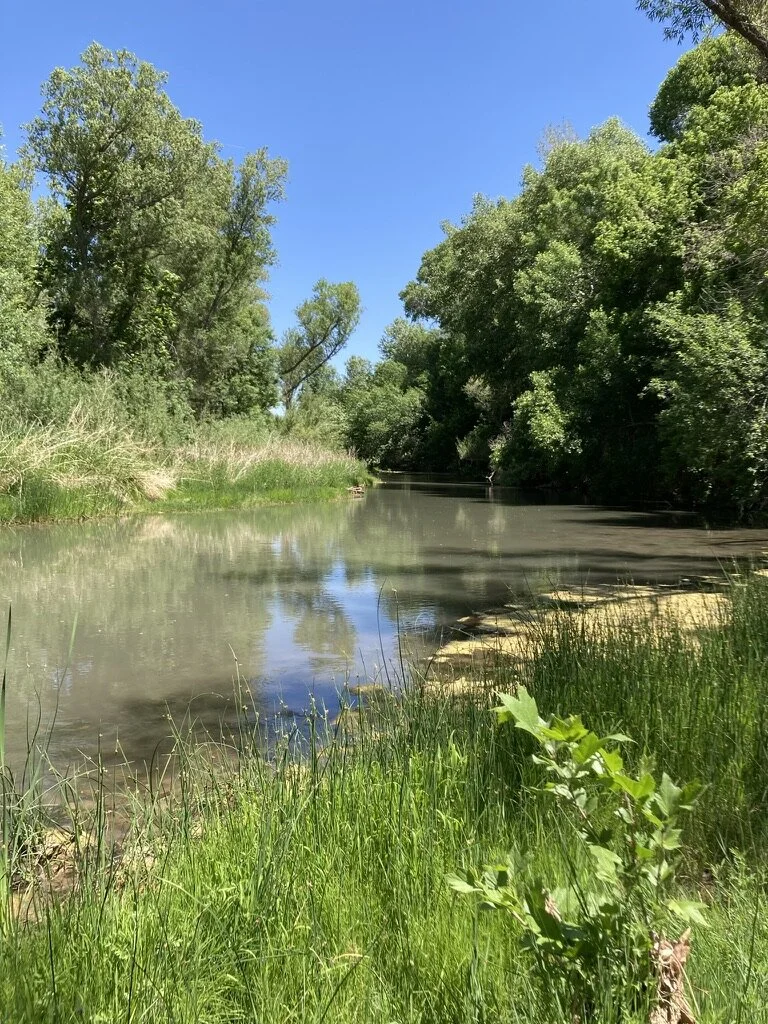 Arizona Agriculture: Water Film