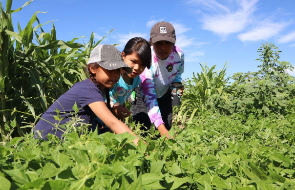 Tribal Food Sovereignty Conversations
