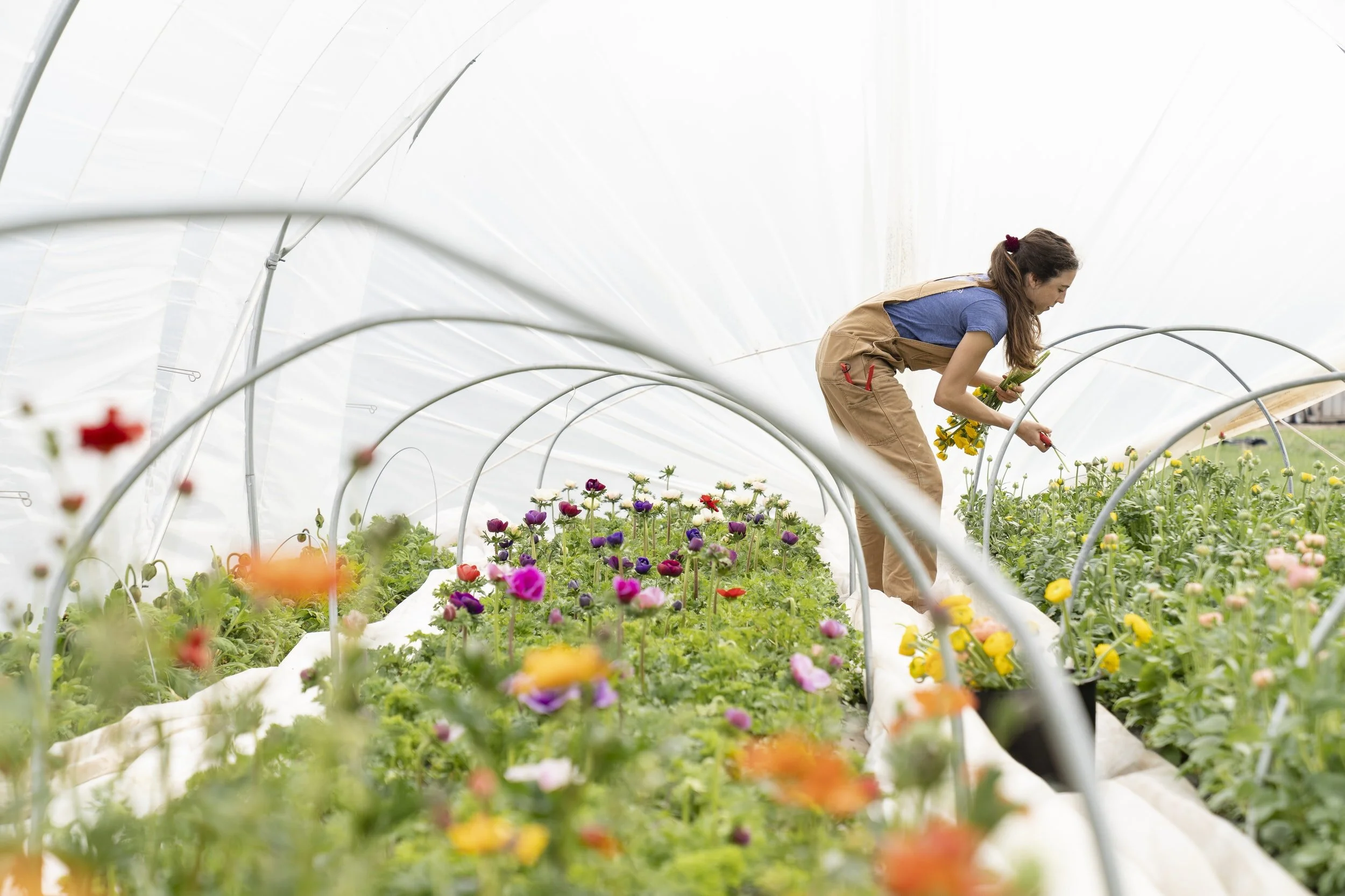 Gila Valley Food Coalition’s Funding for Farmers