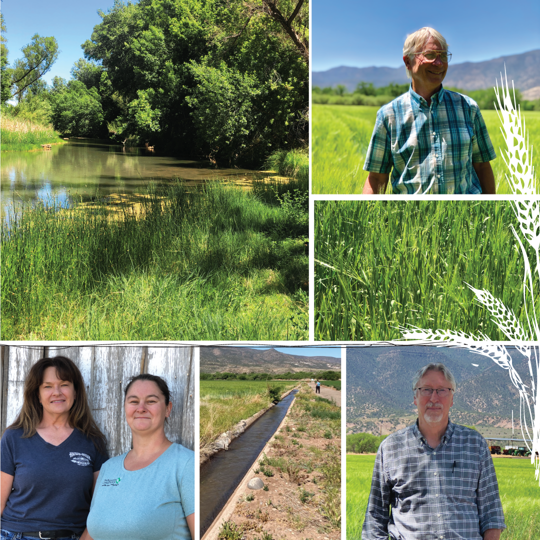 Arizona Agriculture: Water Film Premier