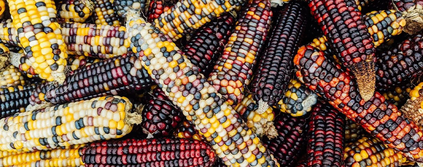 What is Food Sovereignty? — Good Food Finder