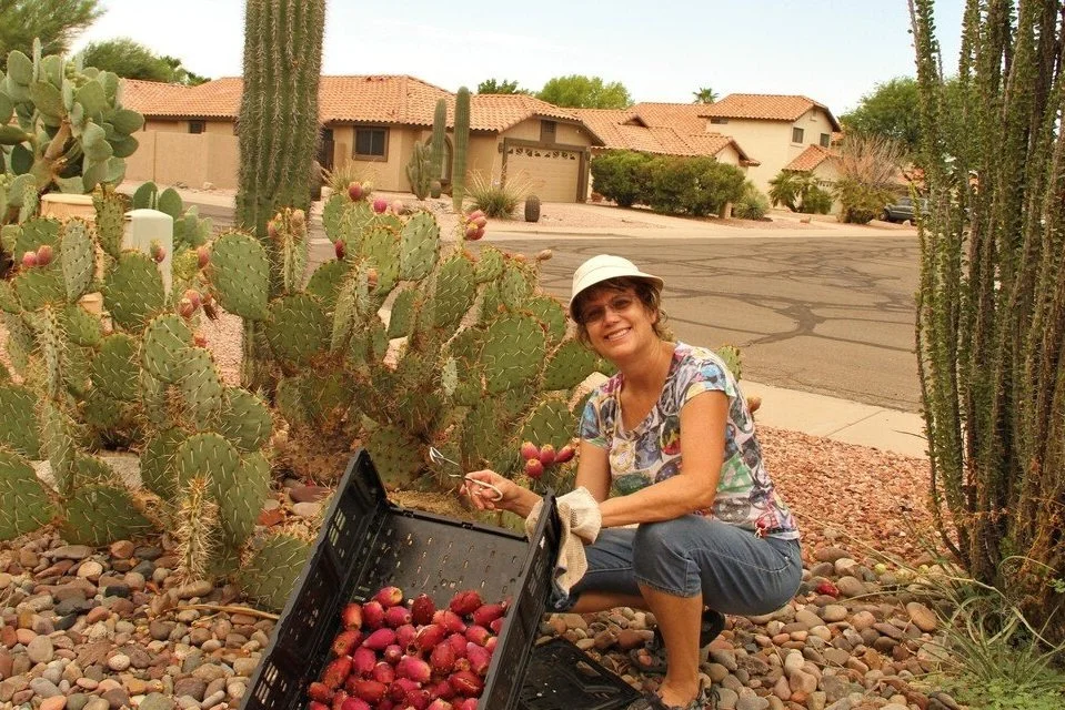 Add a Local Flair: Prickly Pear Zhoug Recipe