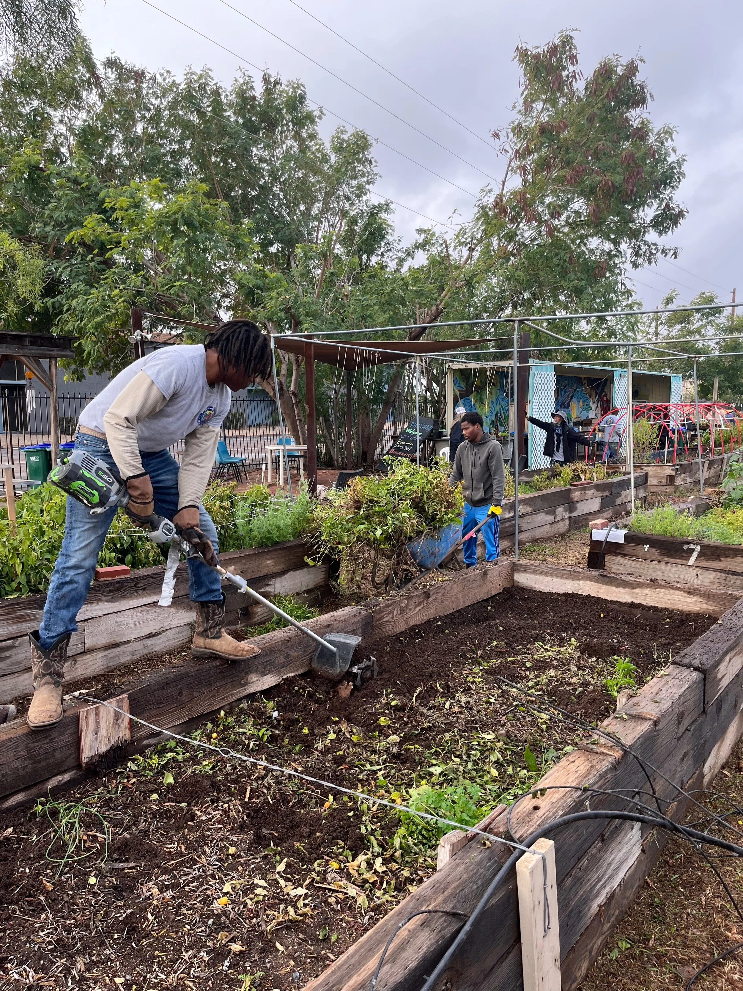 January Farmers Market Workshop: BIPOC Farmers