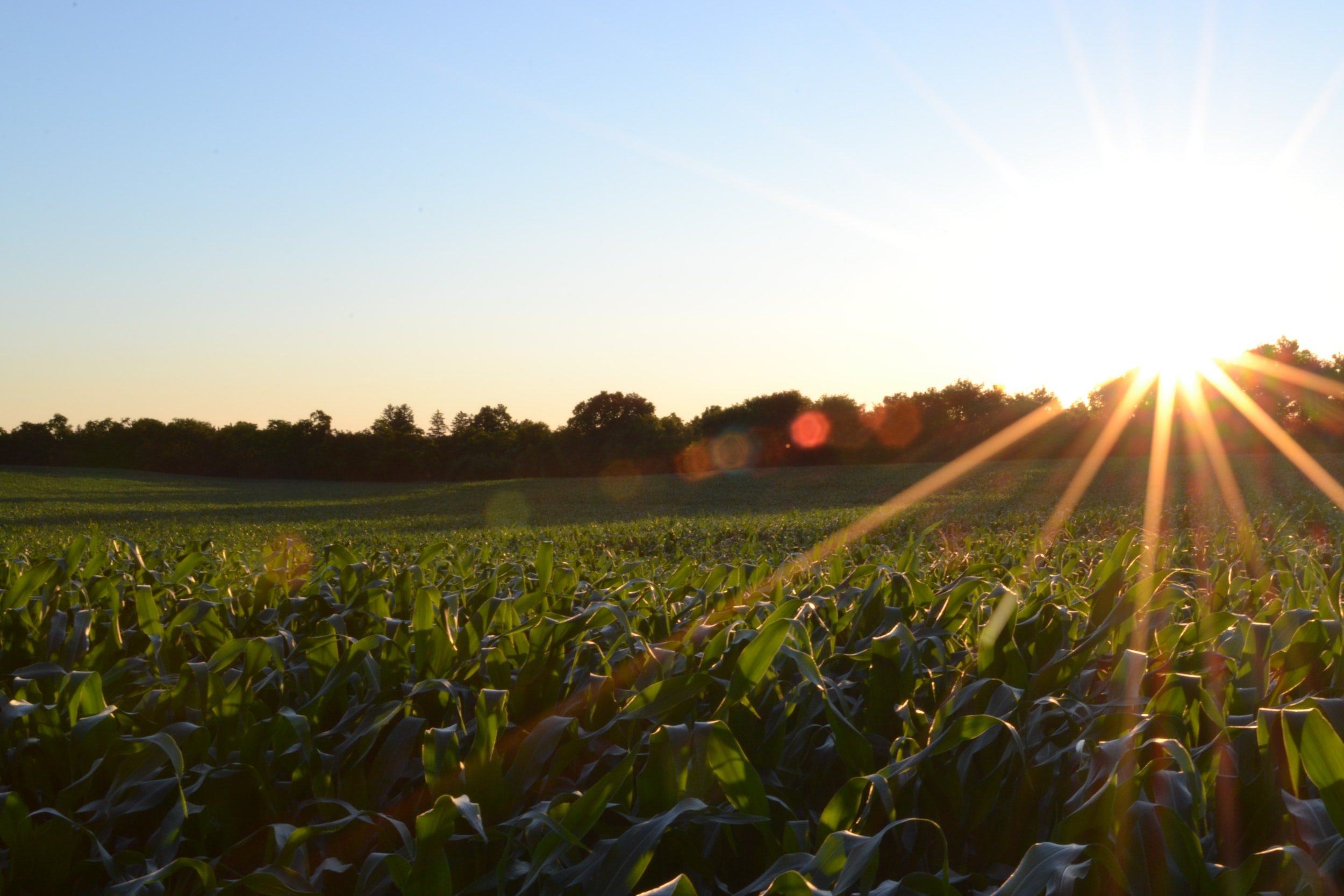Why the 2023 U.S. Farm Bill Matters to All of Us