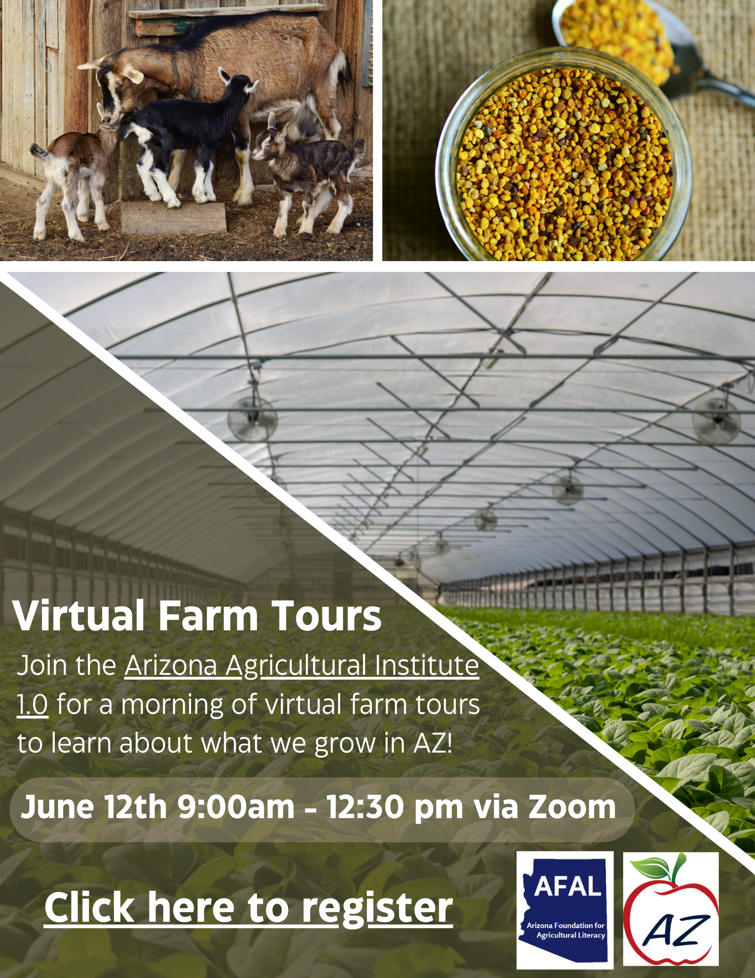 AAI Virtual Day!