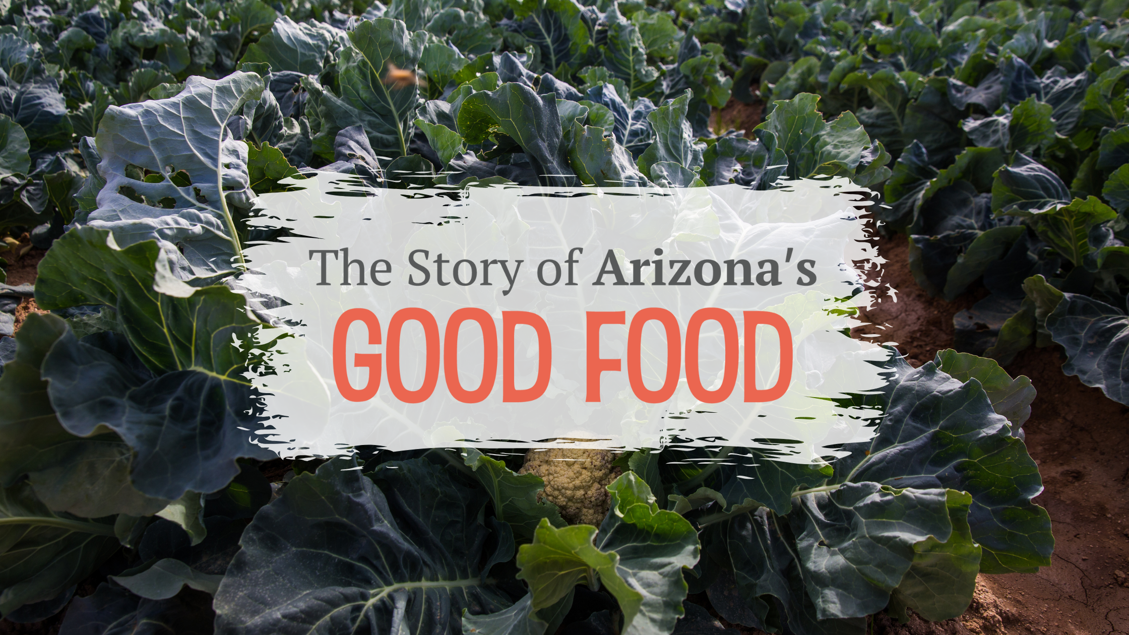 'The Story of Arizona's Good Food' Documentary Screening