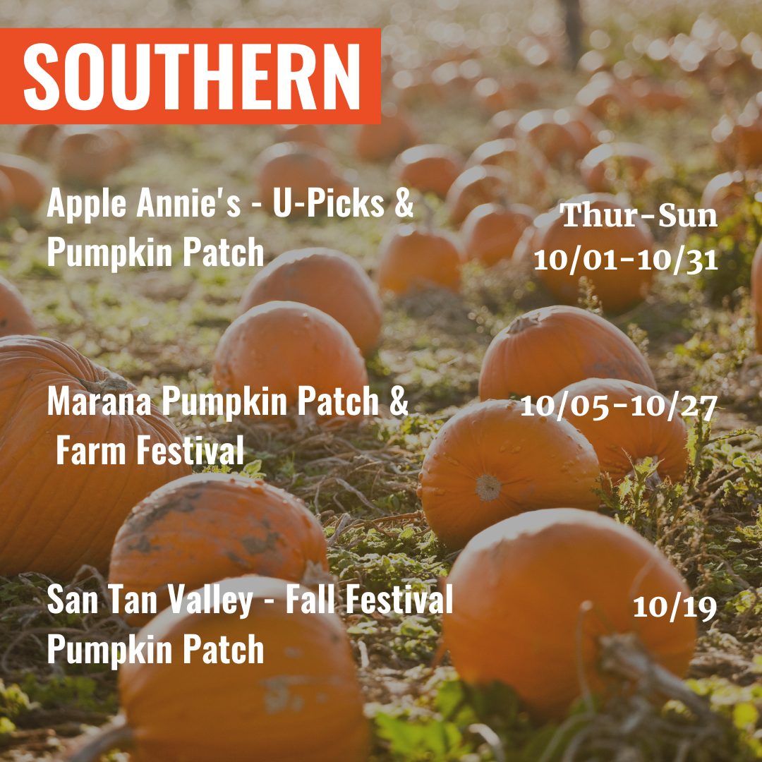 Fall Farm Events and U-Picks in Arizona — Devour Good Food