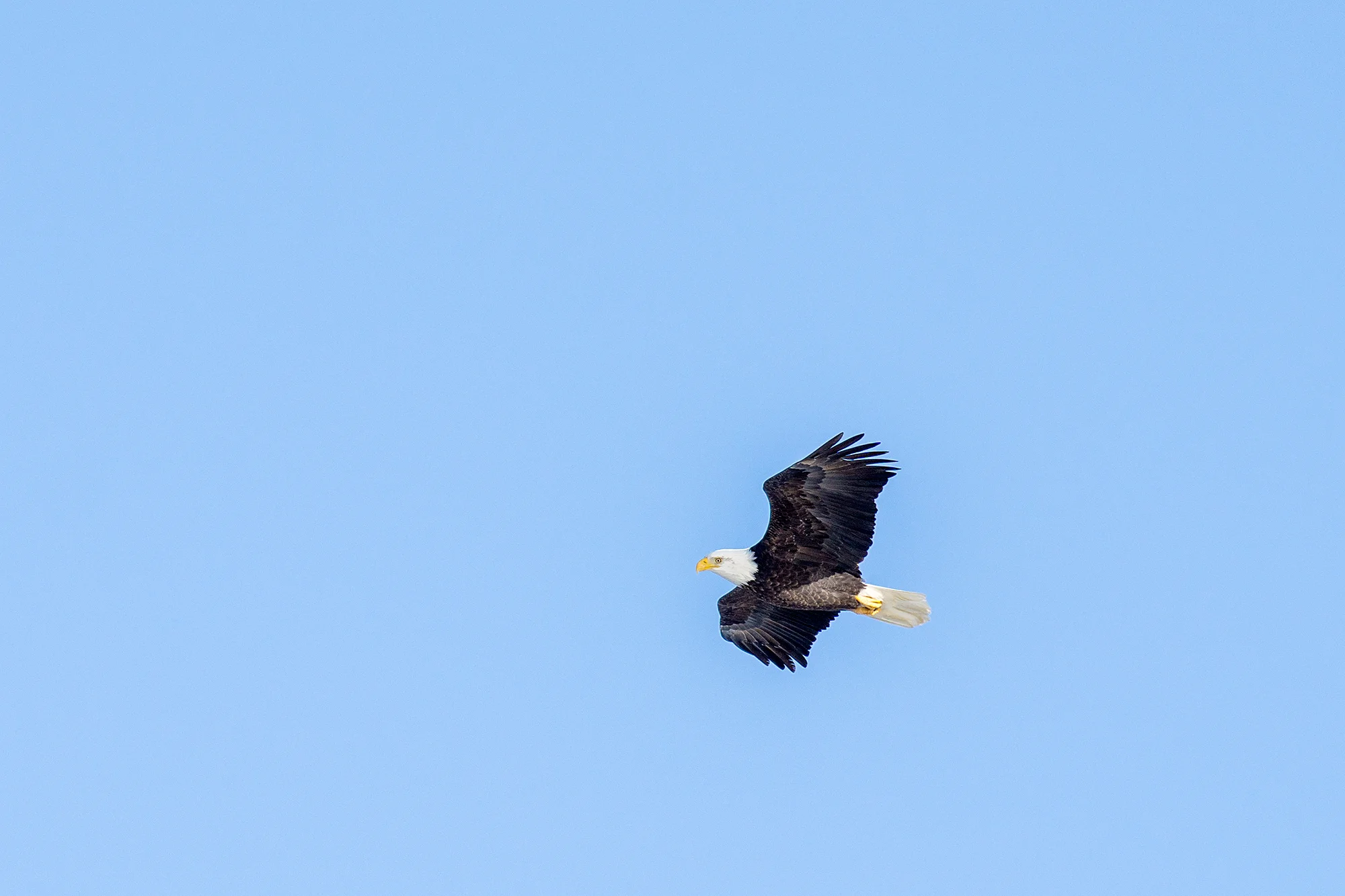 22.2_DSC08934.jpg
