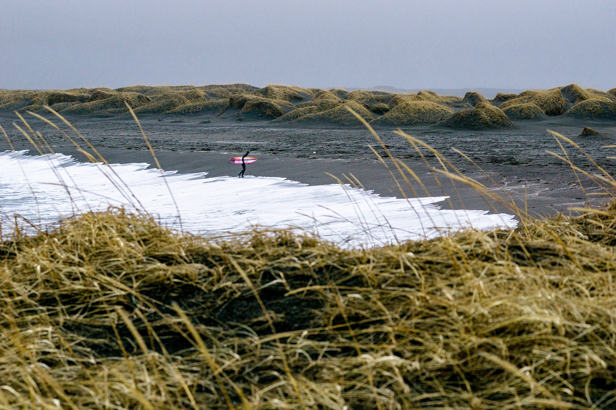 14_DSC08590.jpg