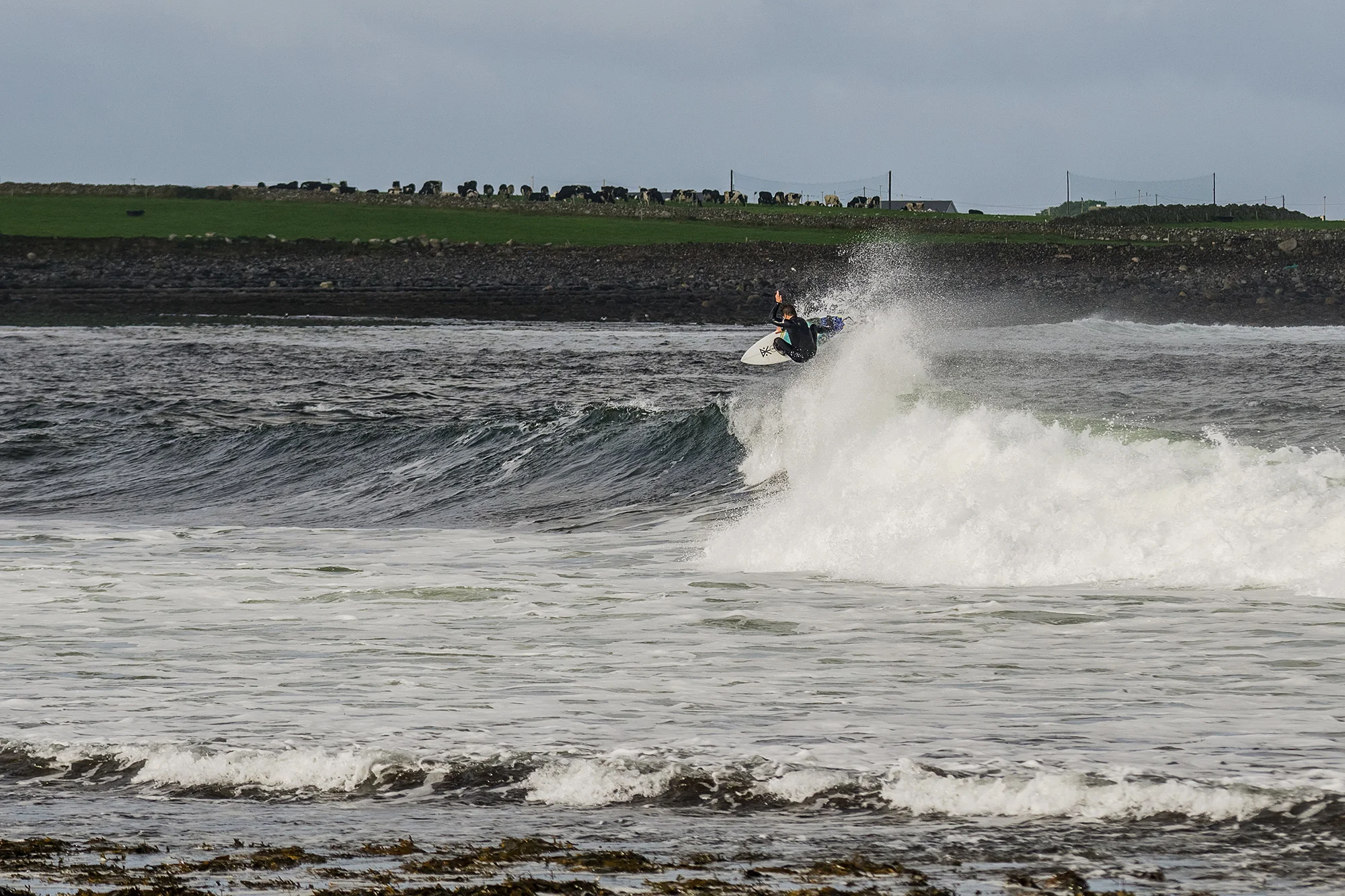 15_DSC00376_McInnis_Nate_Zoller.jpg