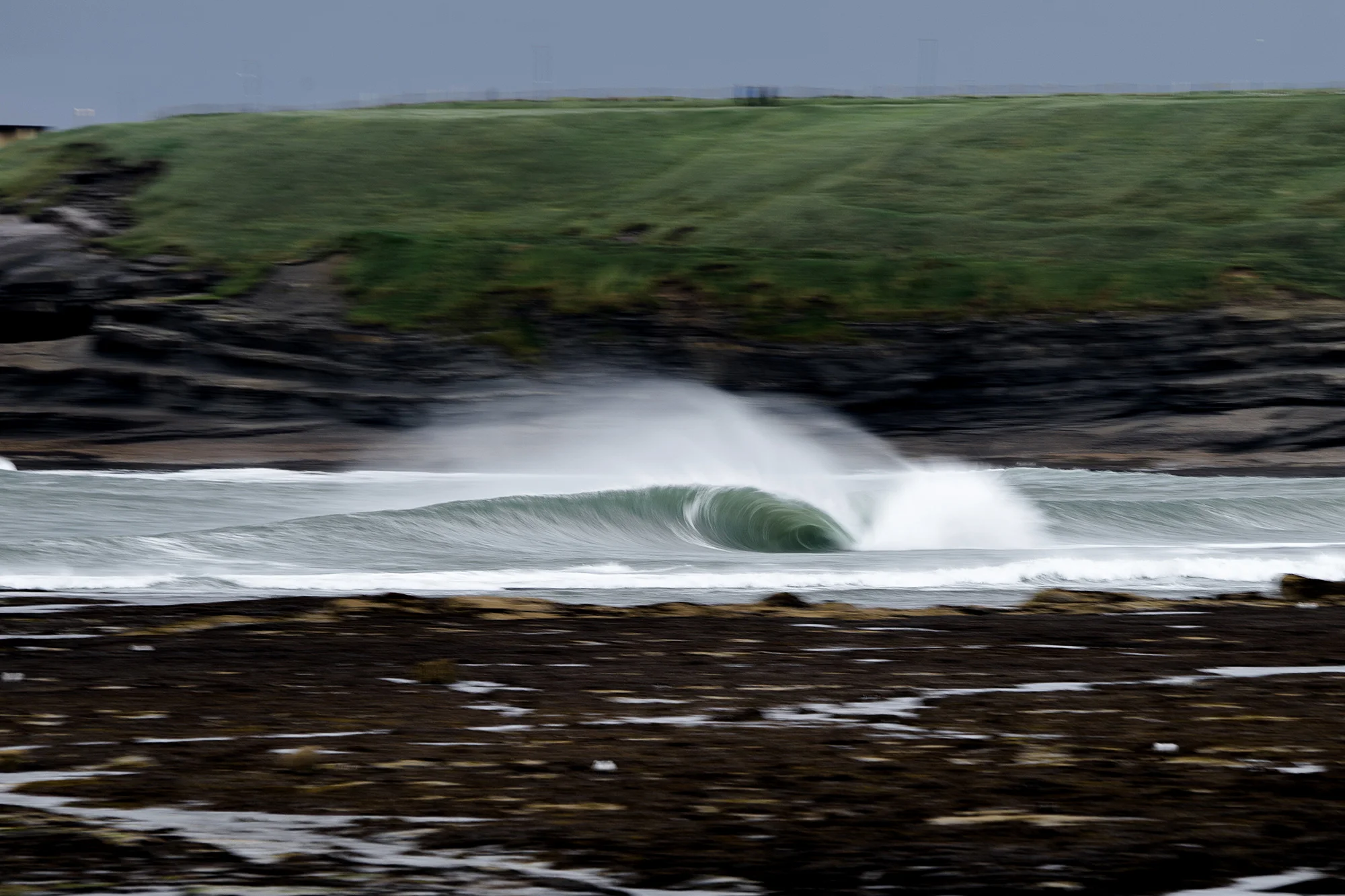 55_DSC06617_McInnis.jpg
