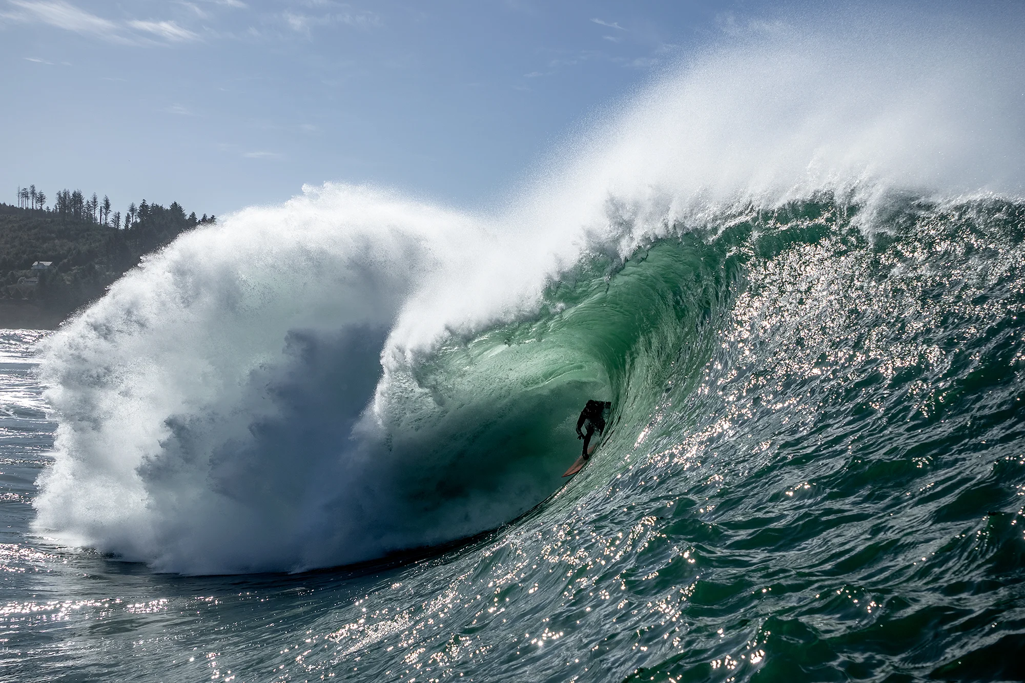 10_DSC01051-2_Tony_Perez_Barrel.jpg
