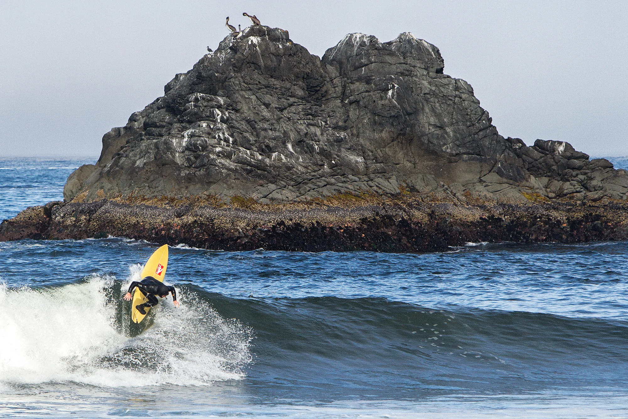 36_IMG_4475_Joe_Curren_RR_Vert.jpg
