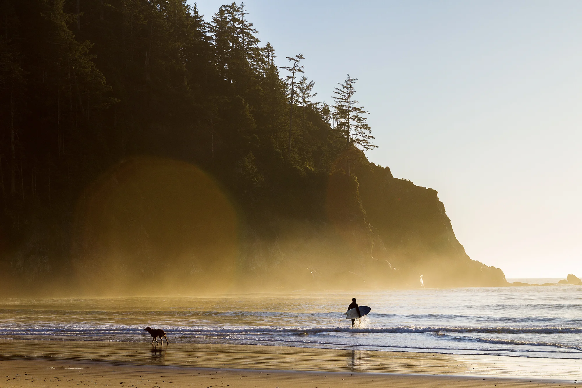 44_MG_6446_SS_Silhouette_4.jpg
