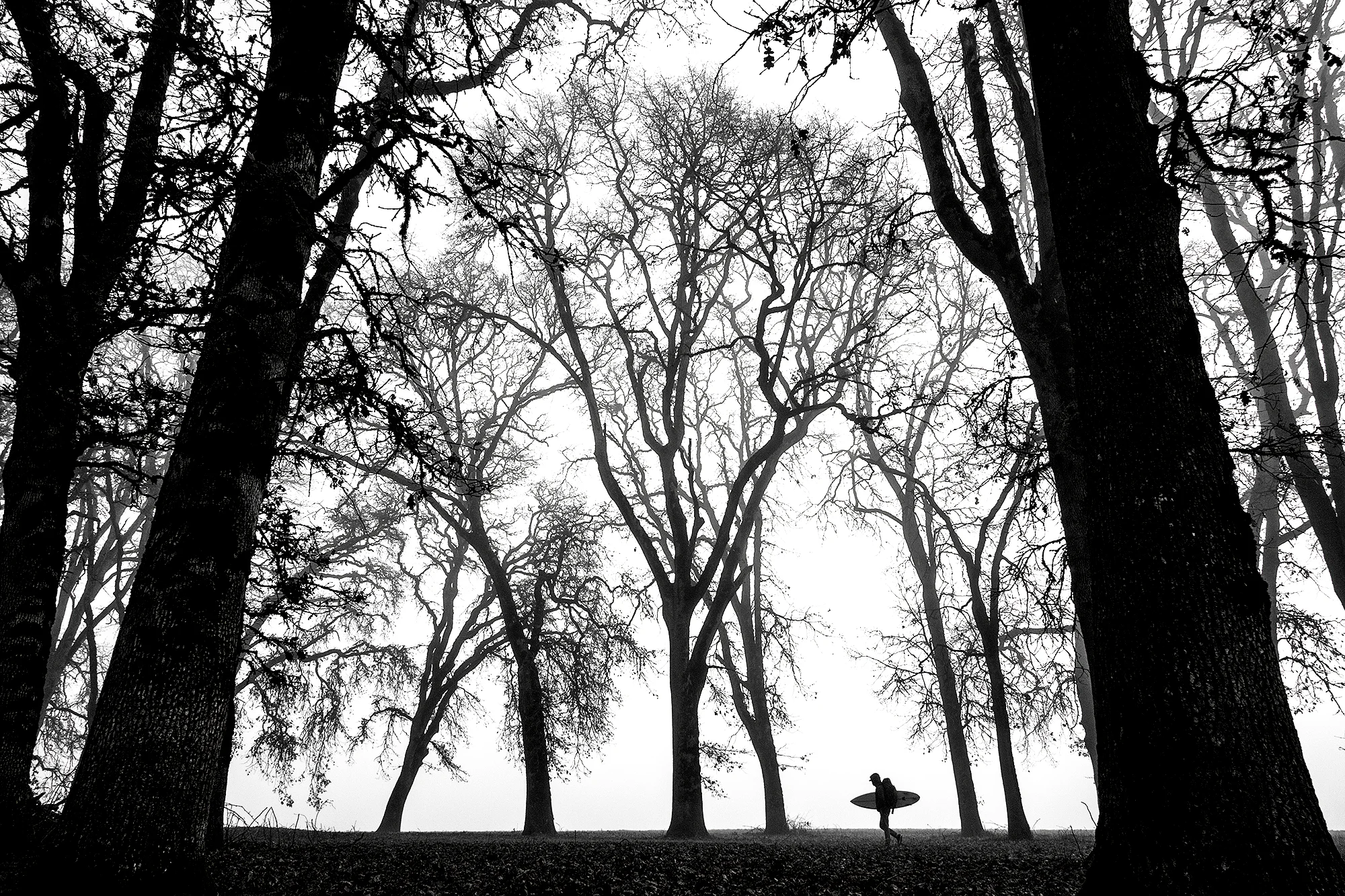 49_MG_6834_Foggy_Lifestyle_BW.jpg