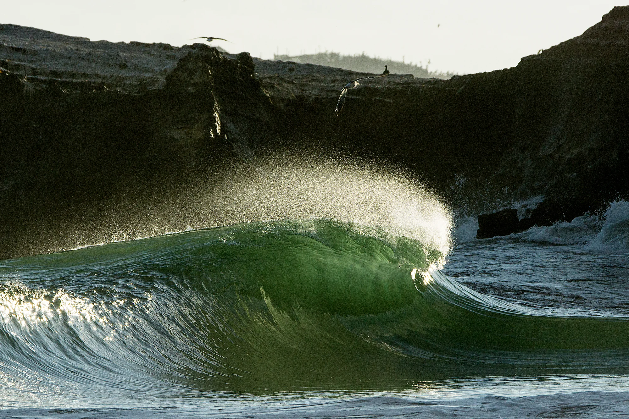 DSC07434-2_Lineup_Wedge.jpg