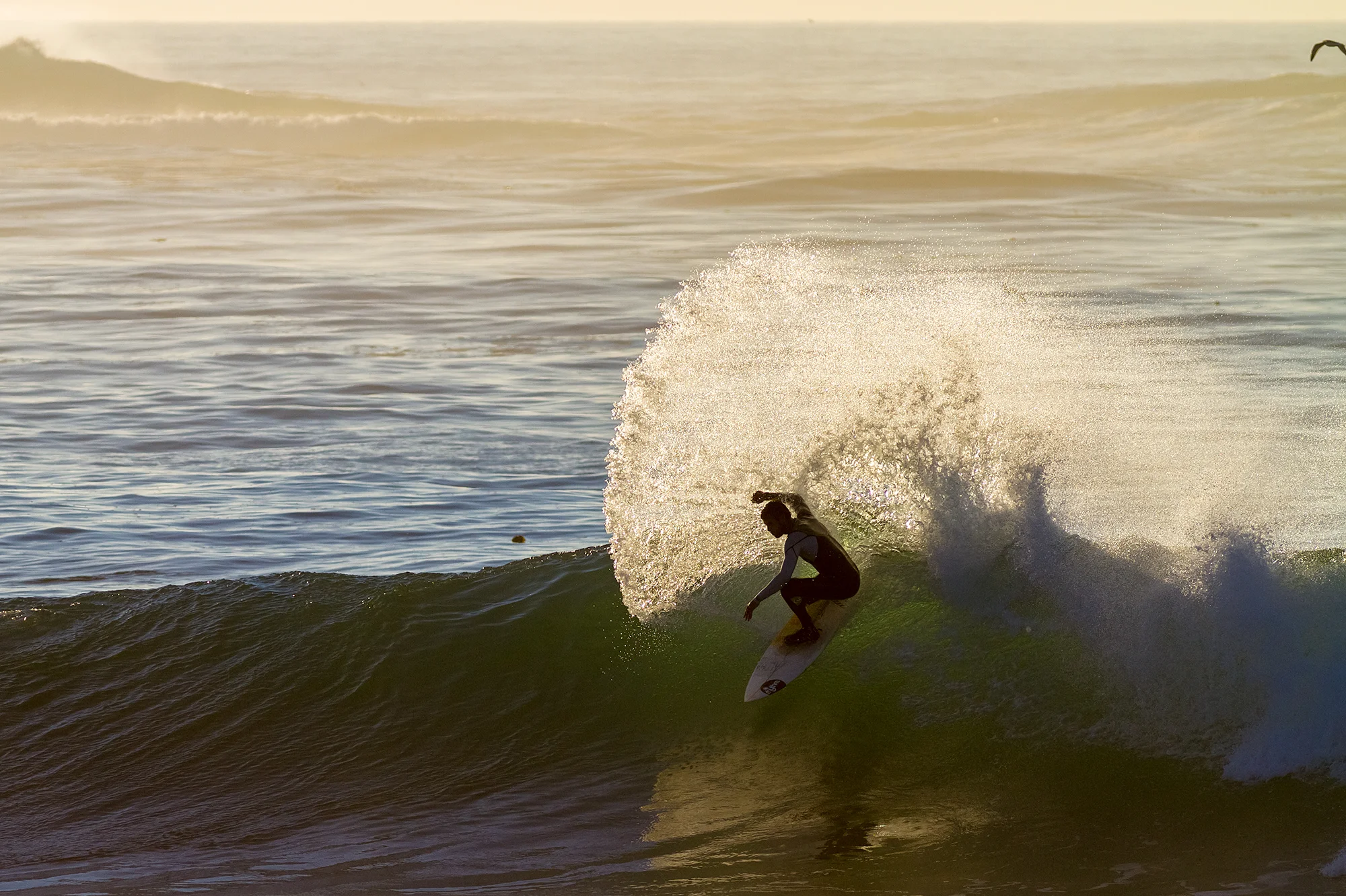IMG_0950_Dane_Anderson_Snap.jpg