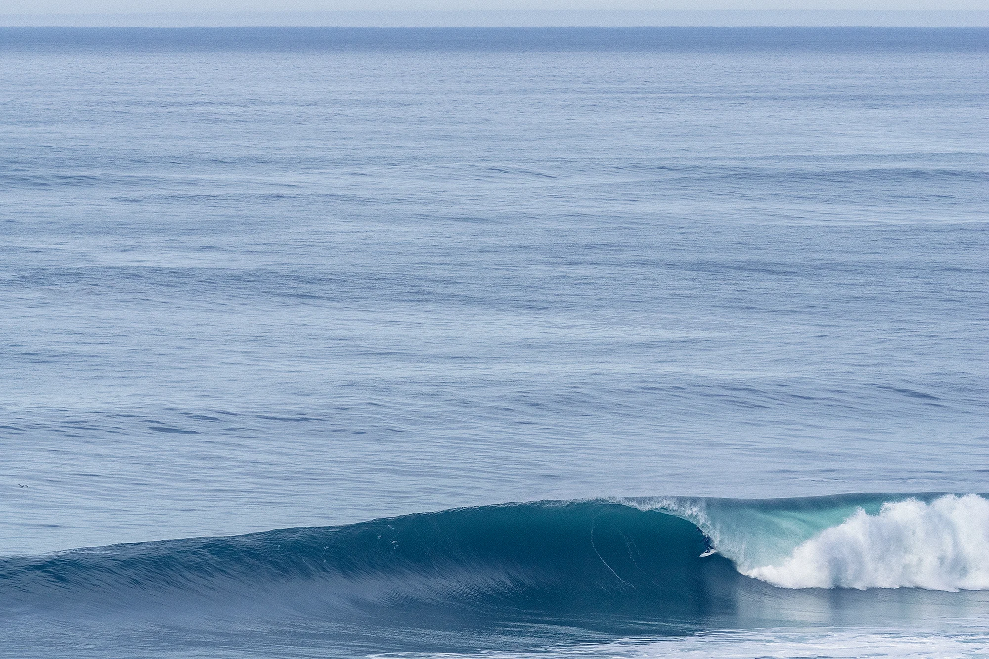 DSC00204_Kerrzy_Barrel.jpg