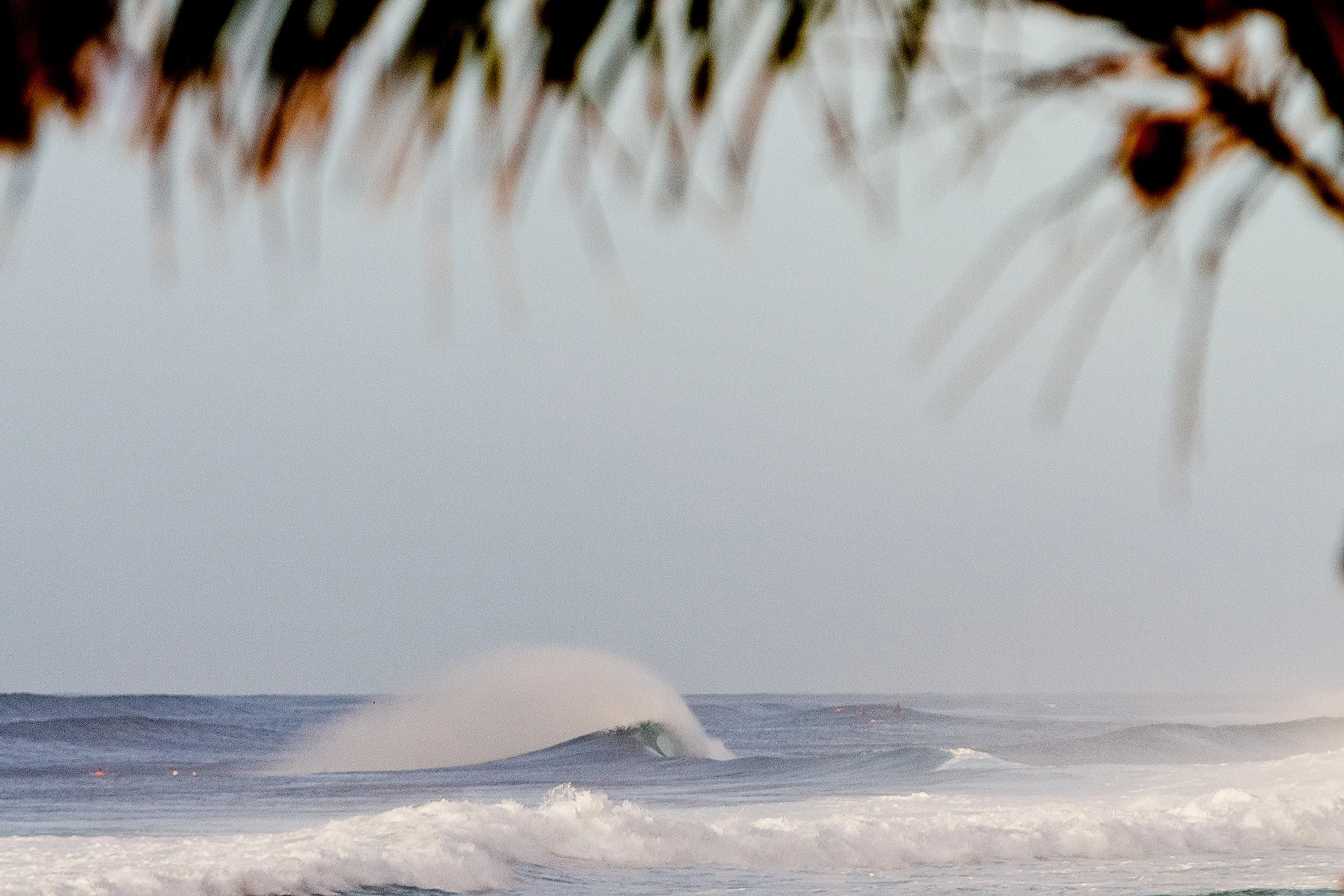 IMG_1756_Pupukea_Lineup.jpg
