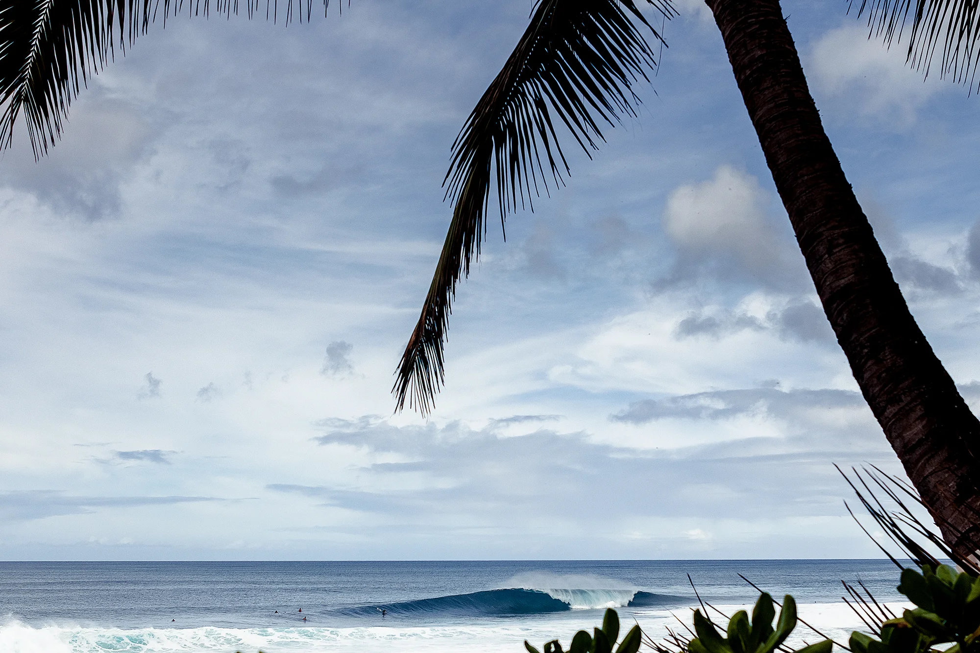 IMG_1967_OTW_Lineup.jpg