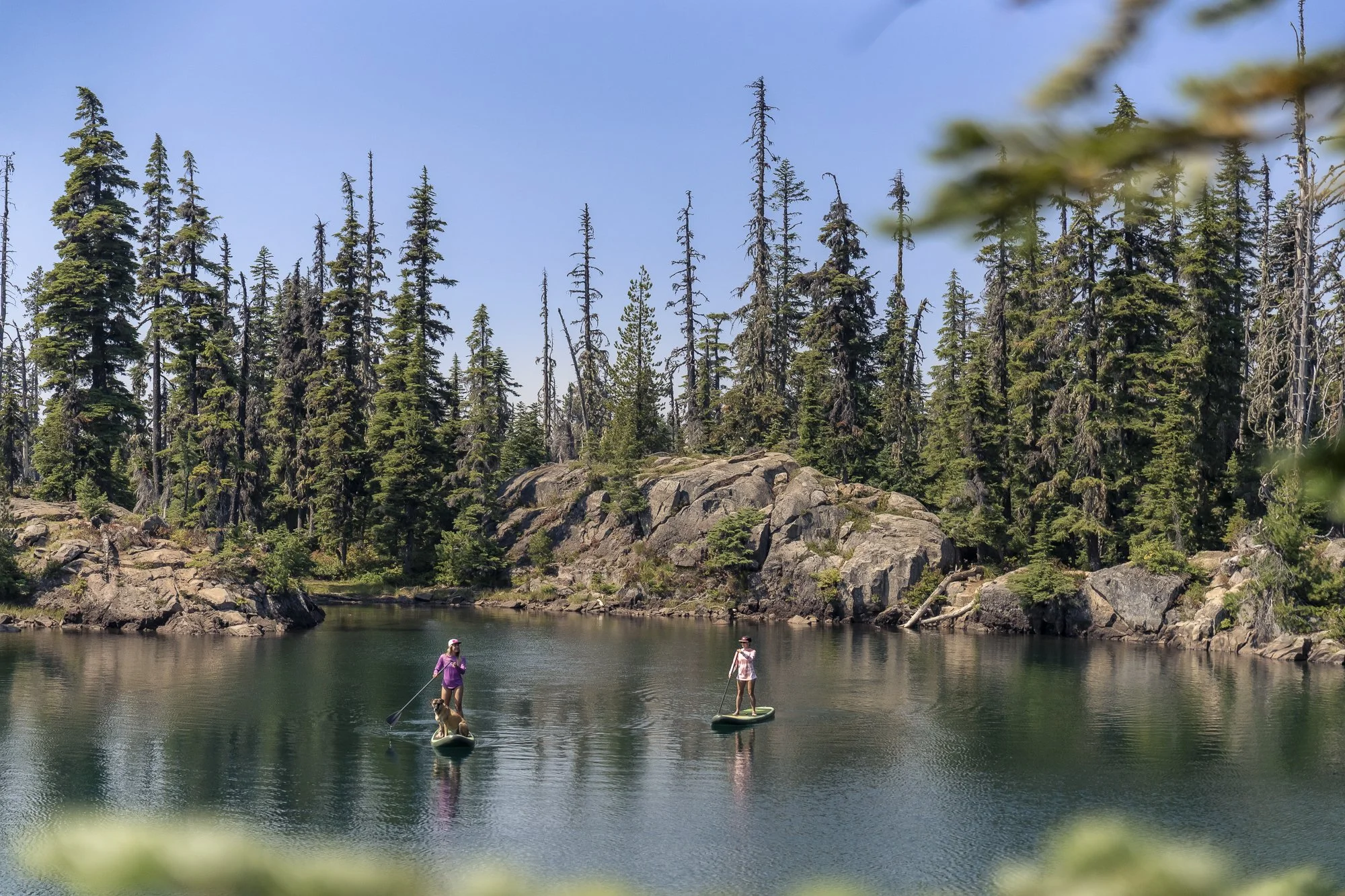 McInnis_090424_11068.jpg