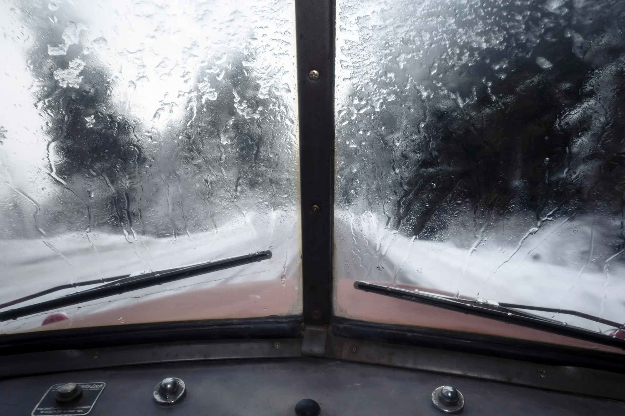 McInnis_021725_15294.jpg