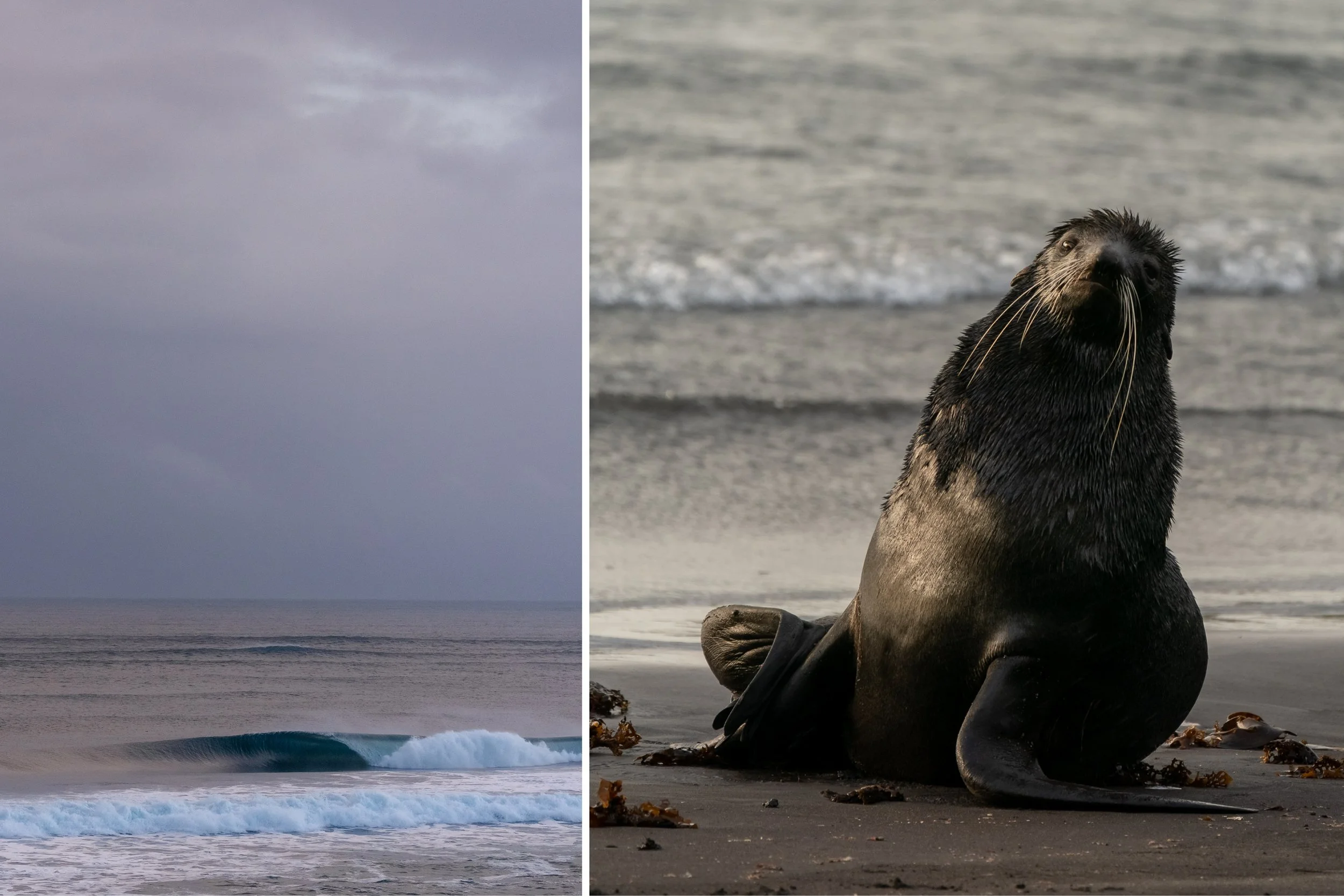 MARK_MCINNIS_DIPTYCH_TEMPLATE 23.jpg