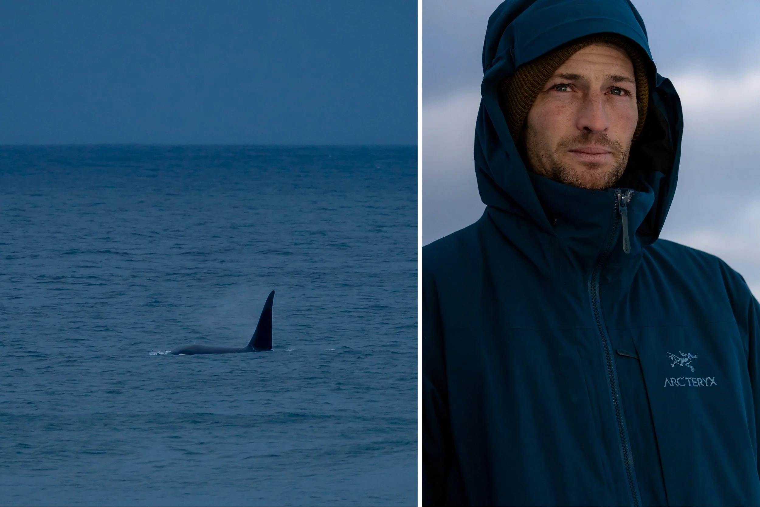 MARK_MCINNIS_DIPTYCH_TEMPLATE 210.jpg