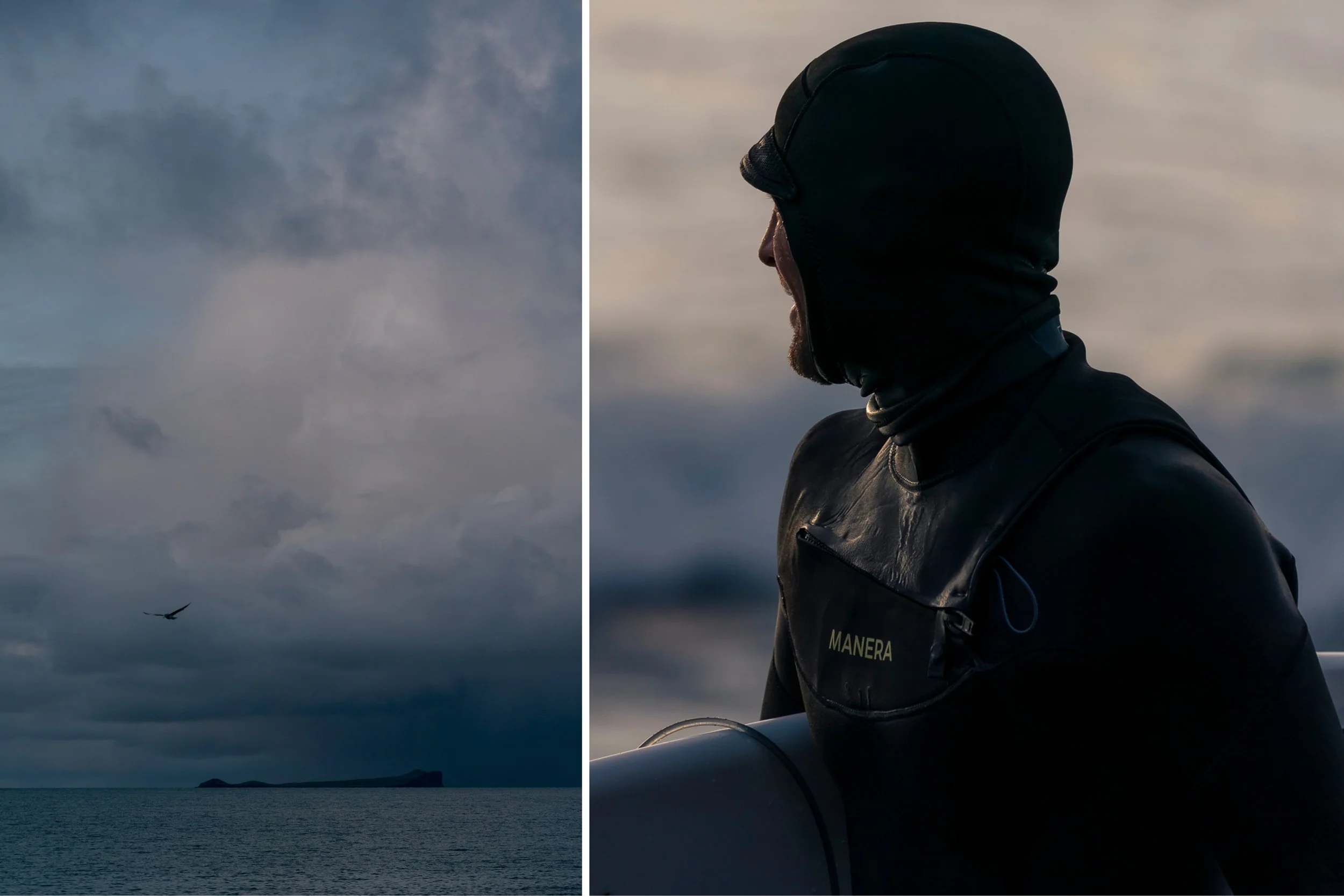 MARK_MCINNIS_DIPTYCH_TEMPLATE 211.jpg