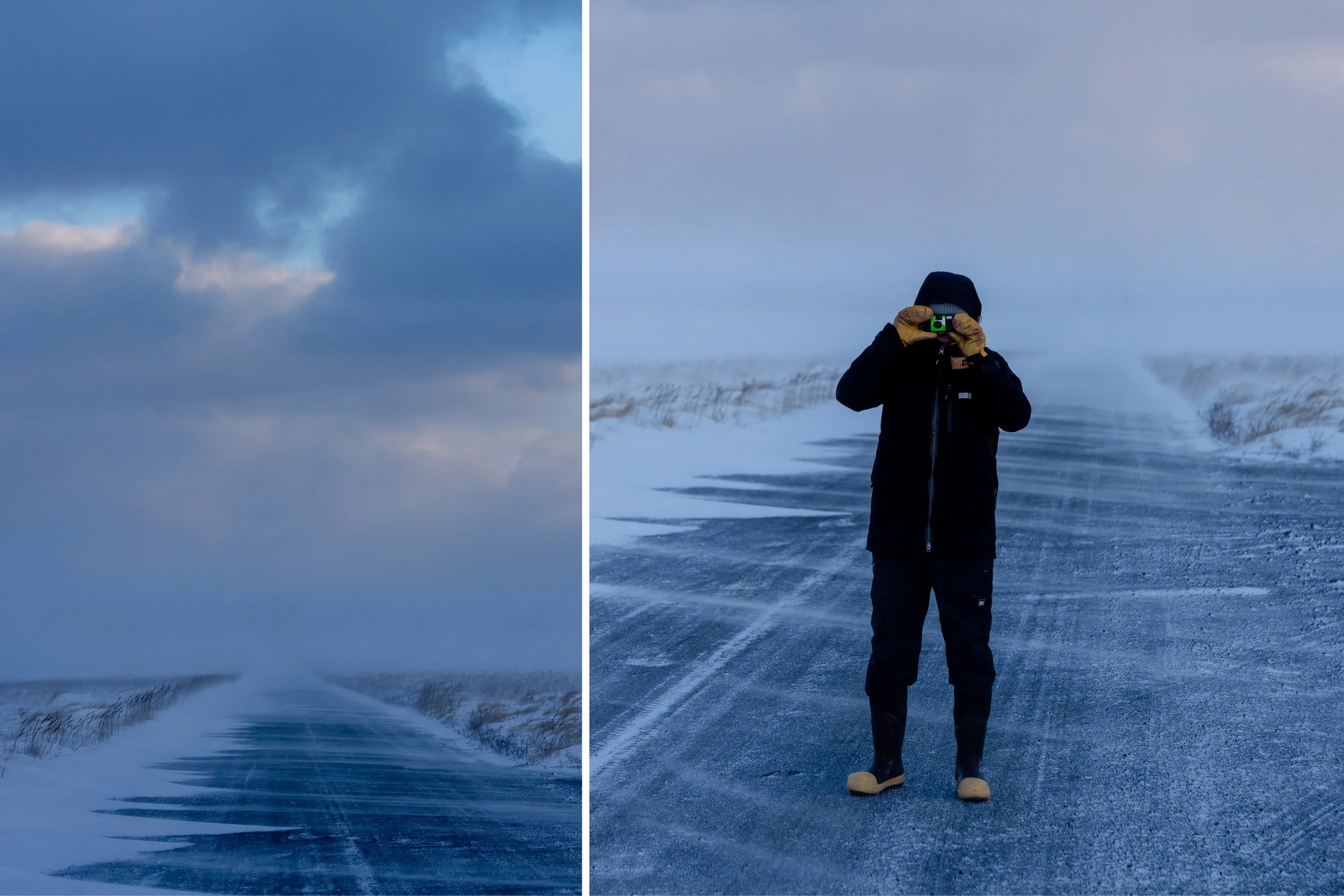 MARK_MCINNIS_DIPTYCH_TEMPLATE 213.jpg