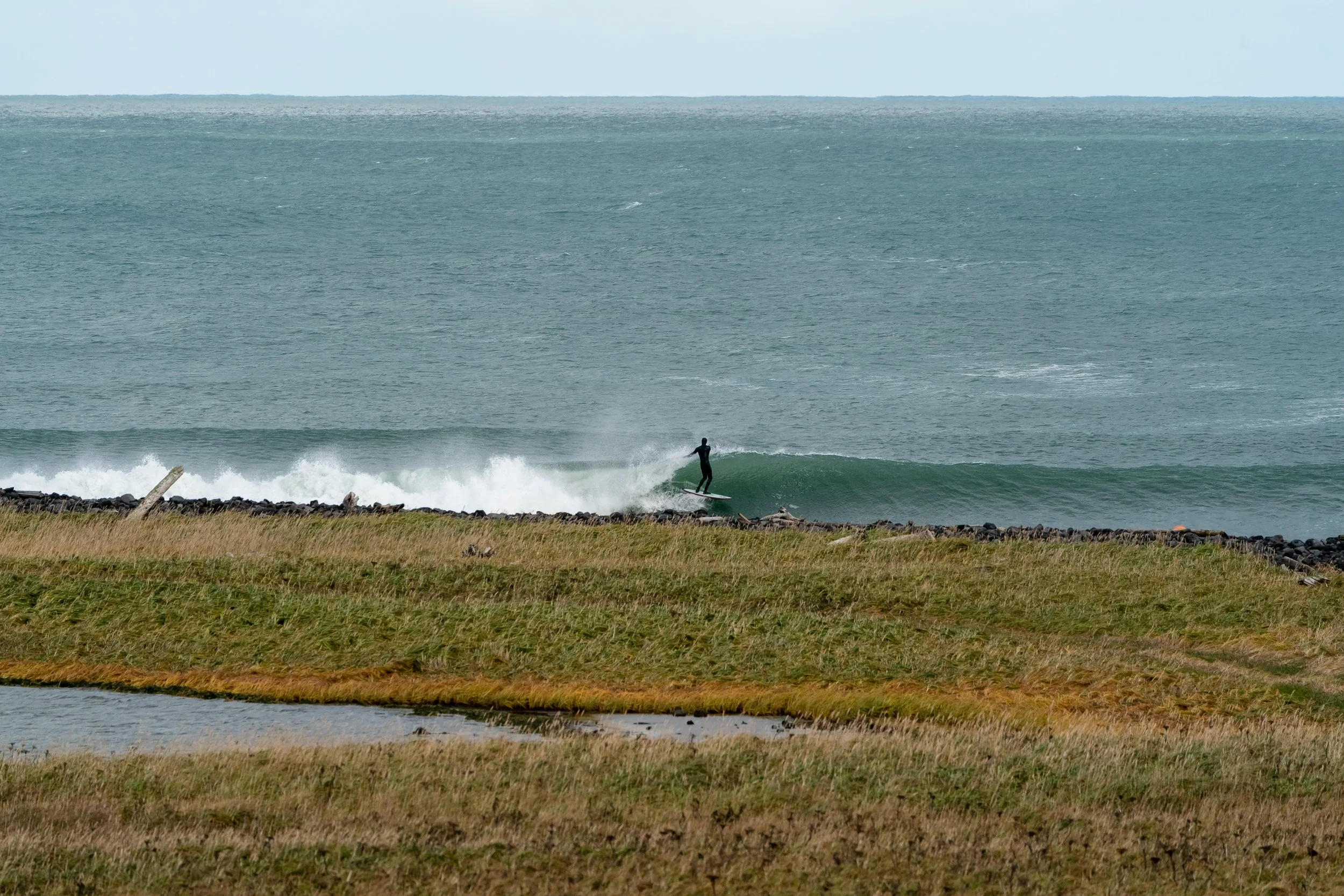McInnis_101819_326762.jpg