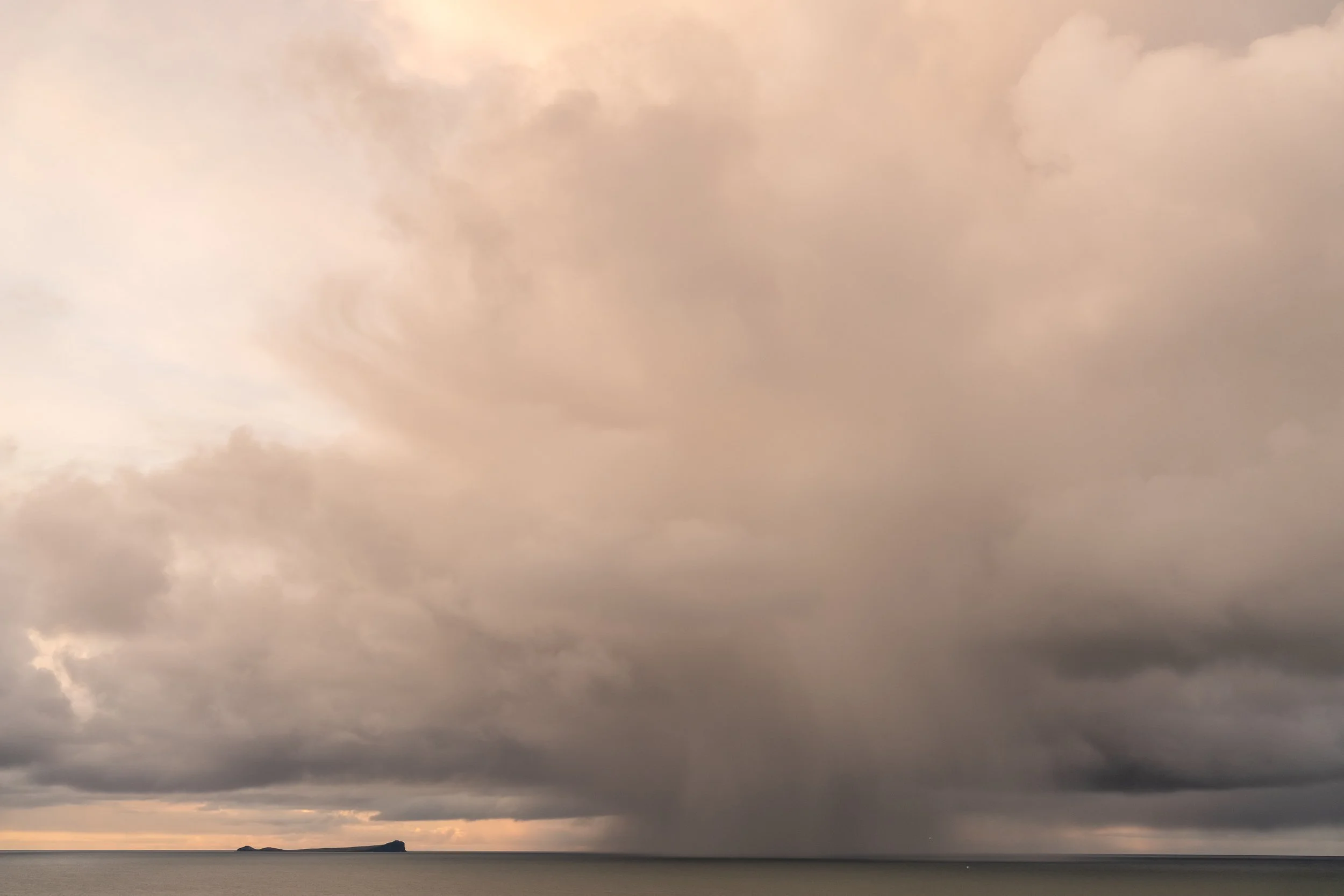 McInnis_102019_333518.jpg