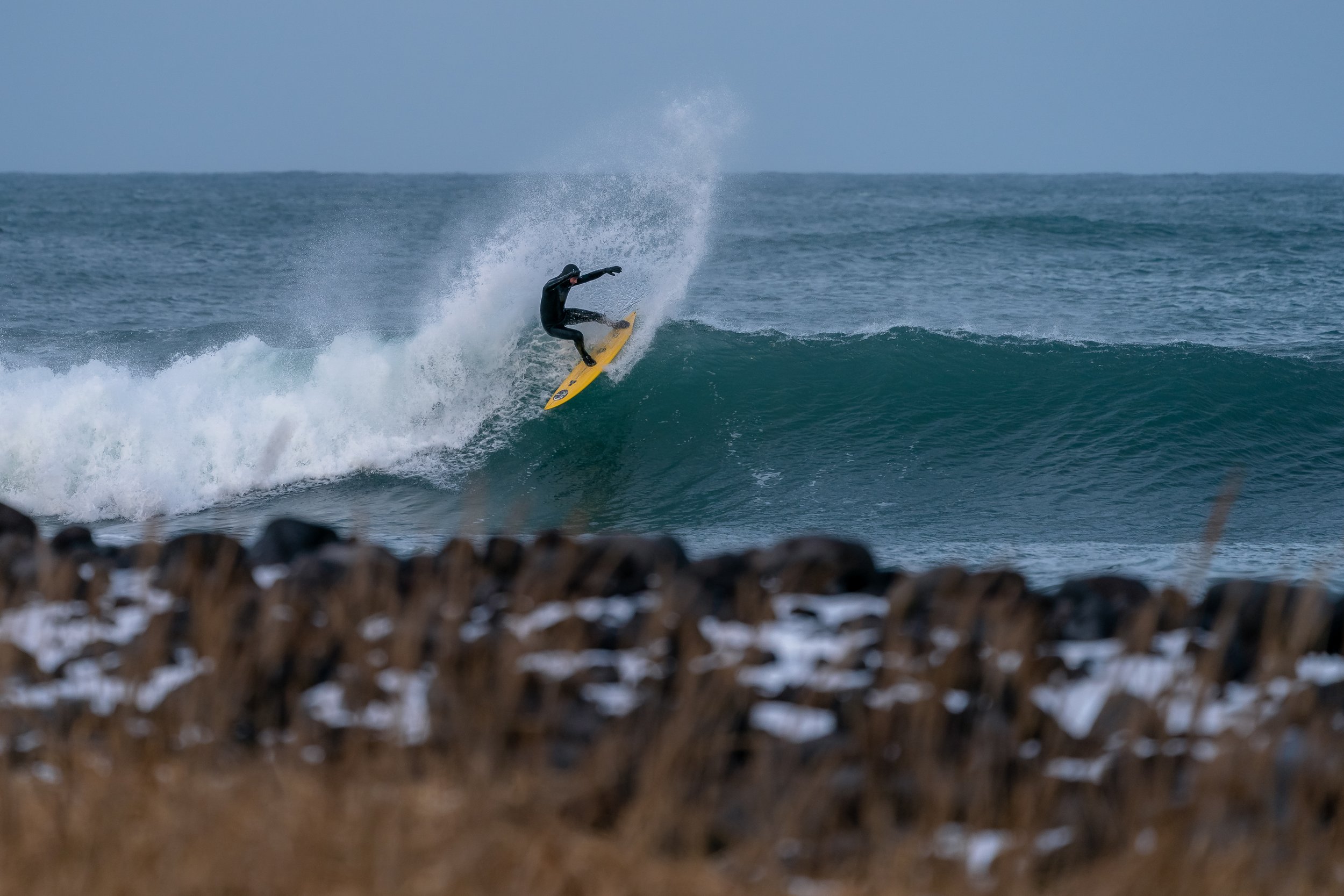 McInnis_120221_133241.jpg